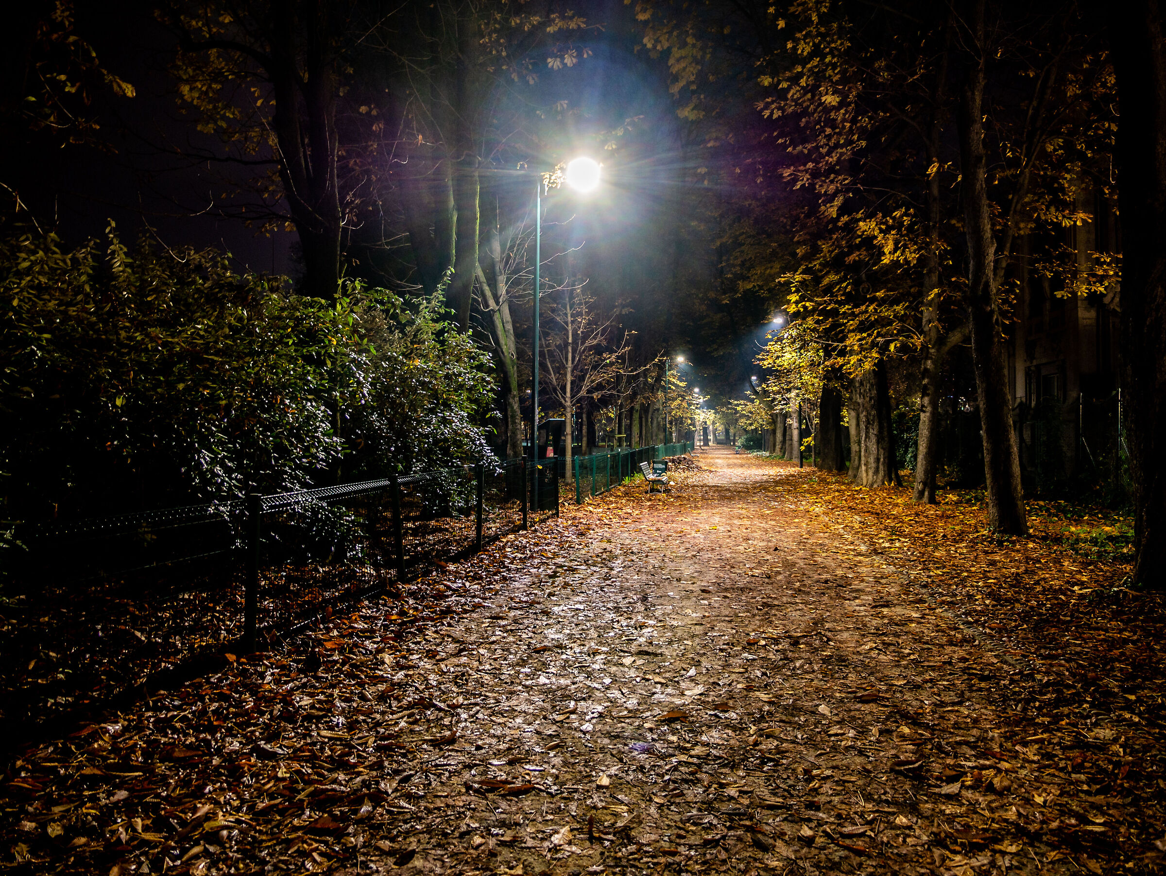 Parco Sempione - Milan ...