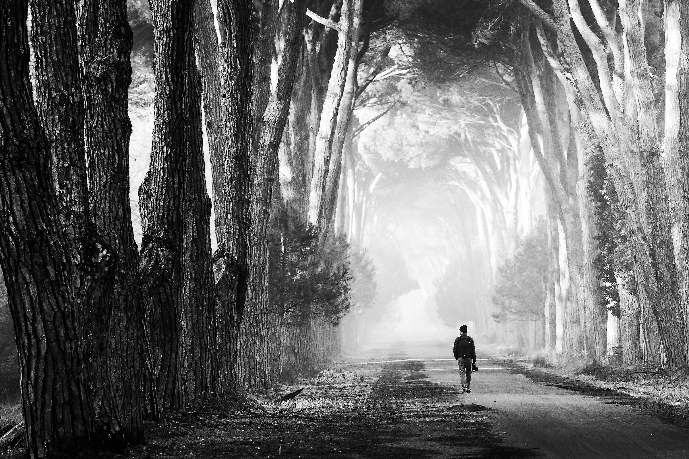 cercando la nebbia...