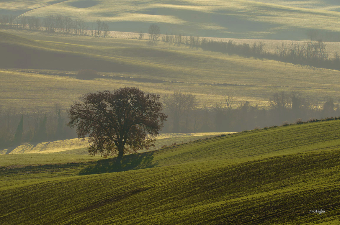 Undulations in Val D'Orcia...
