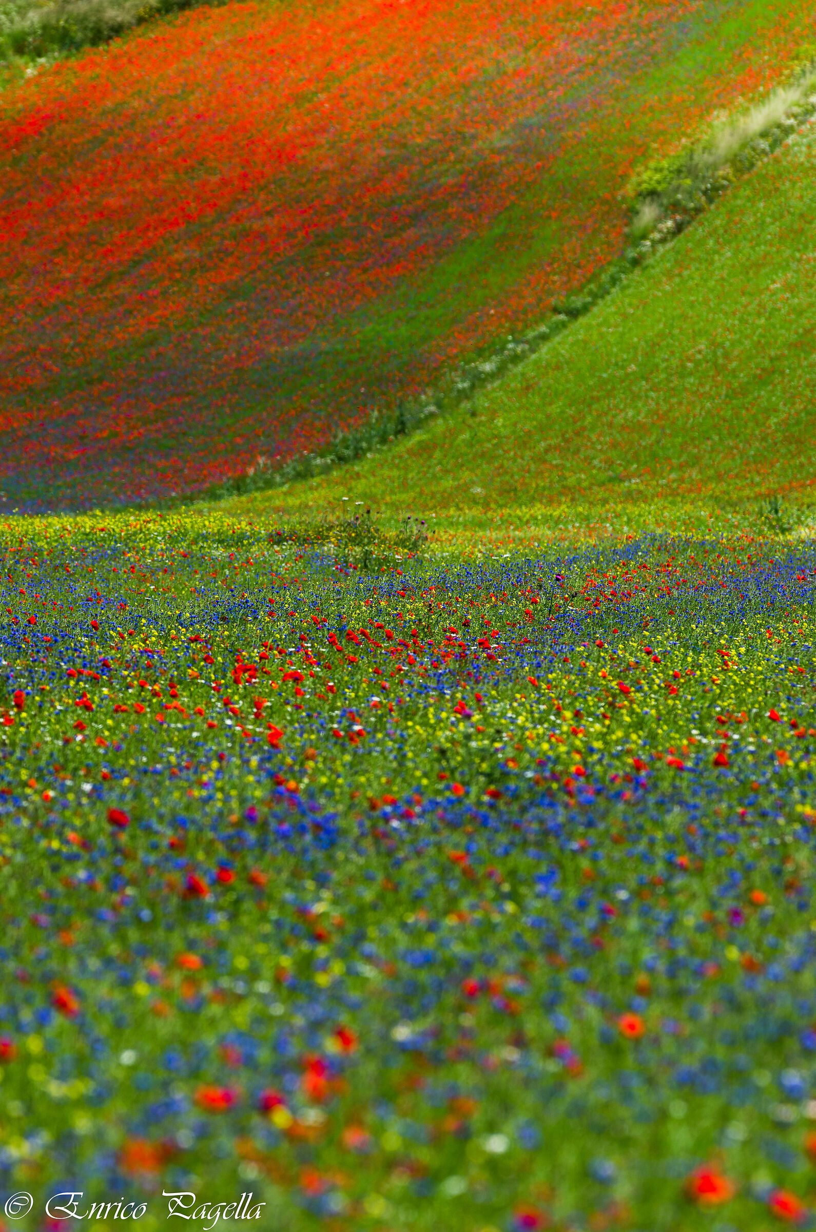 castelluccio a few years ago- I like to think about life ...
