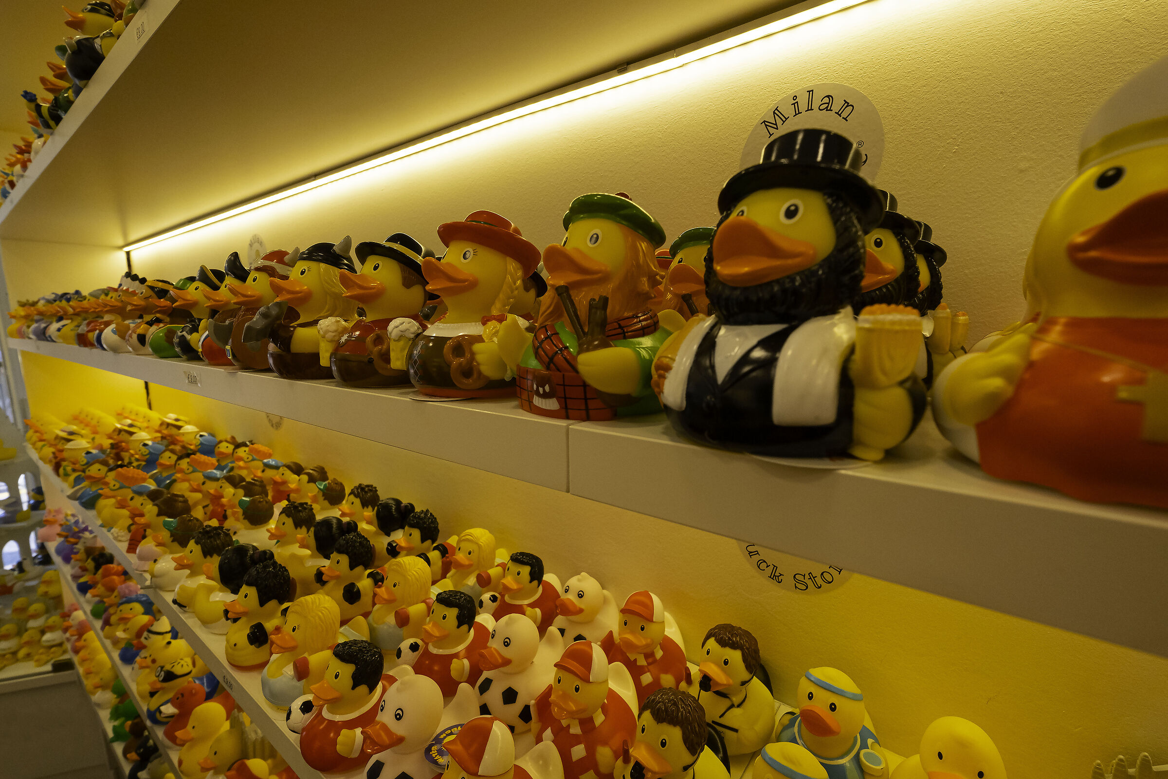 Duck store Milan...