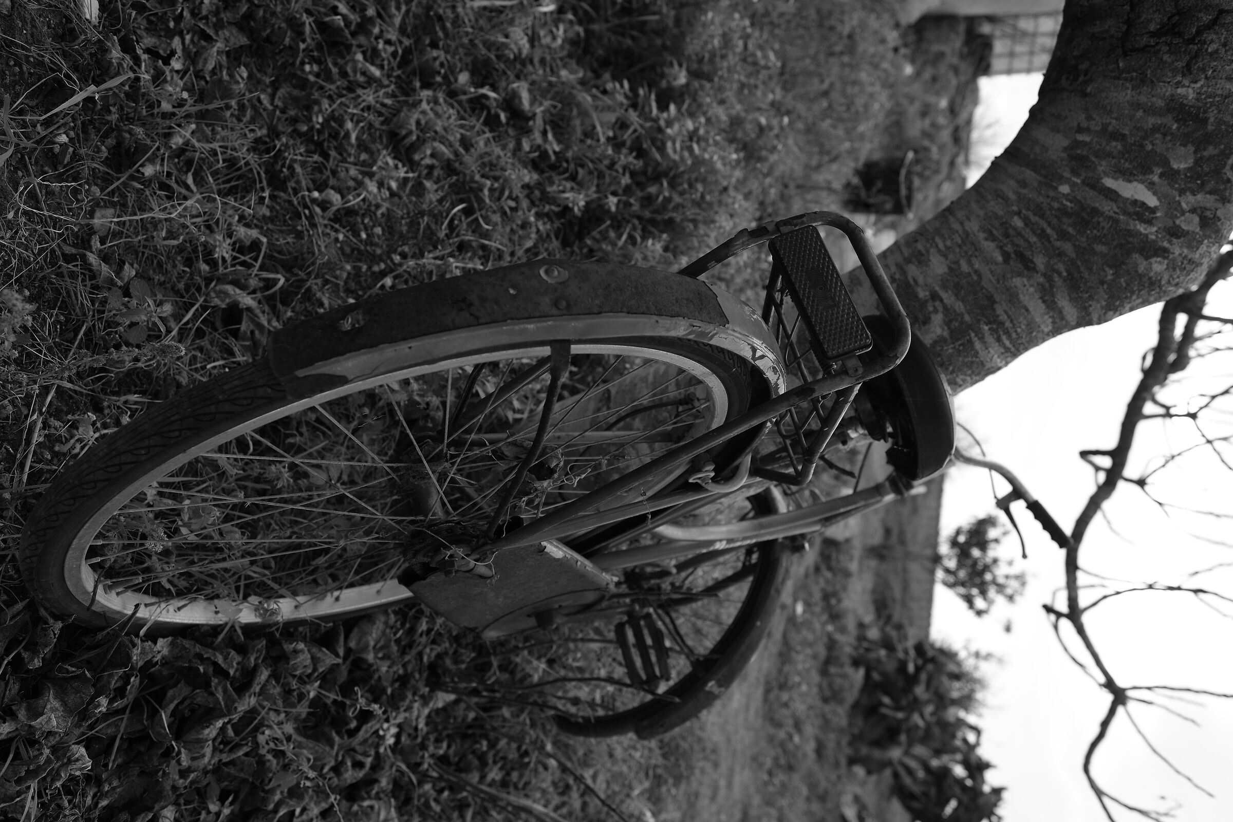 Una bici in campagna...