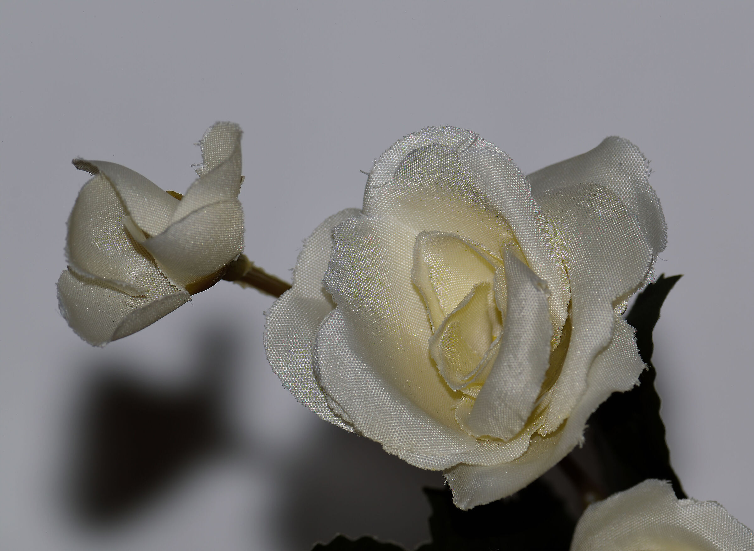 Silk rose...