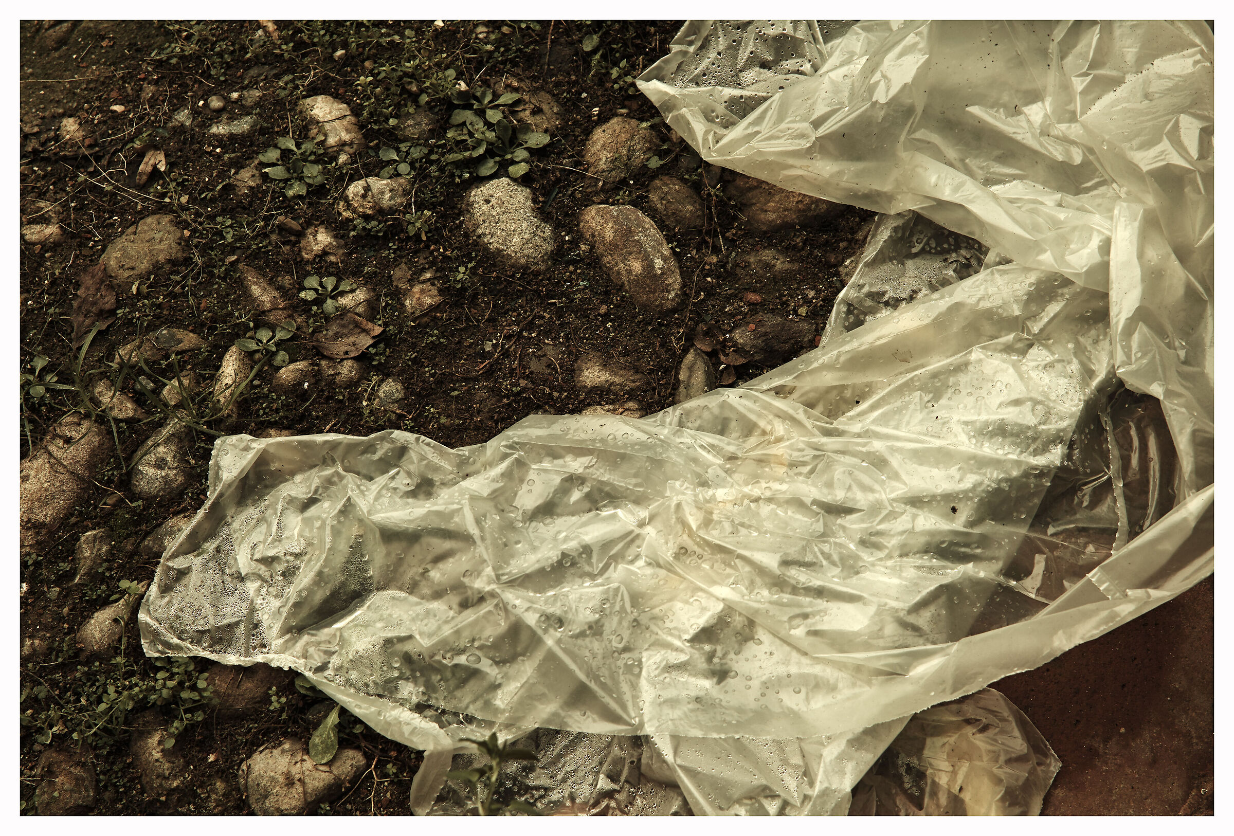 Wrapped in plastic (tribute to David Lynch)...