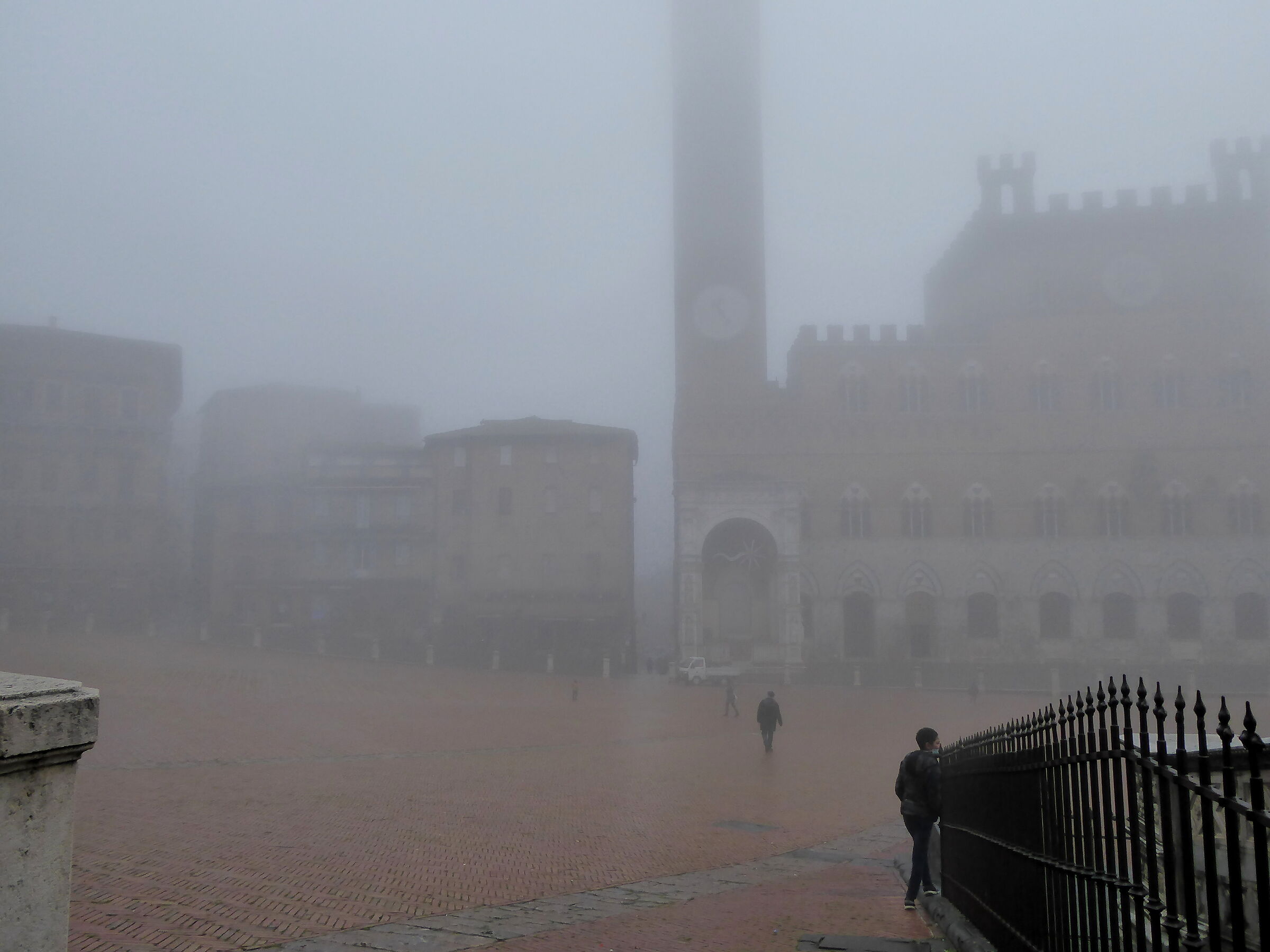 this morning in Piazza del Campo...