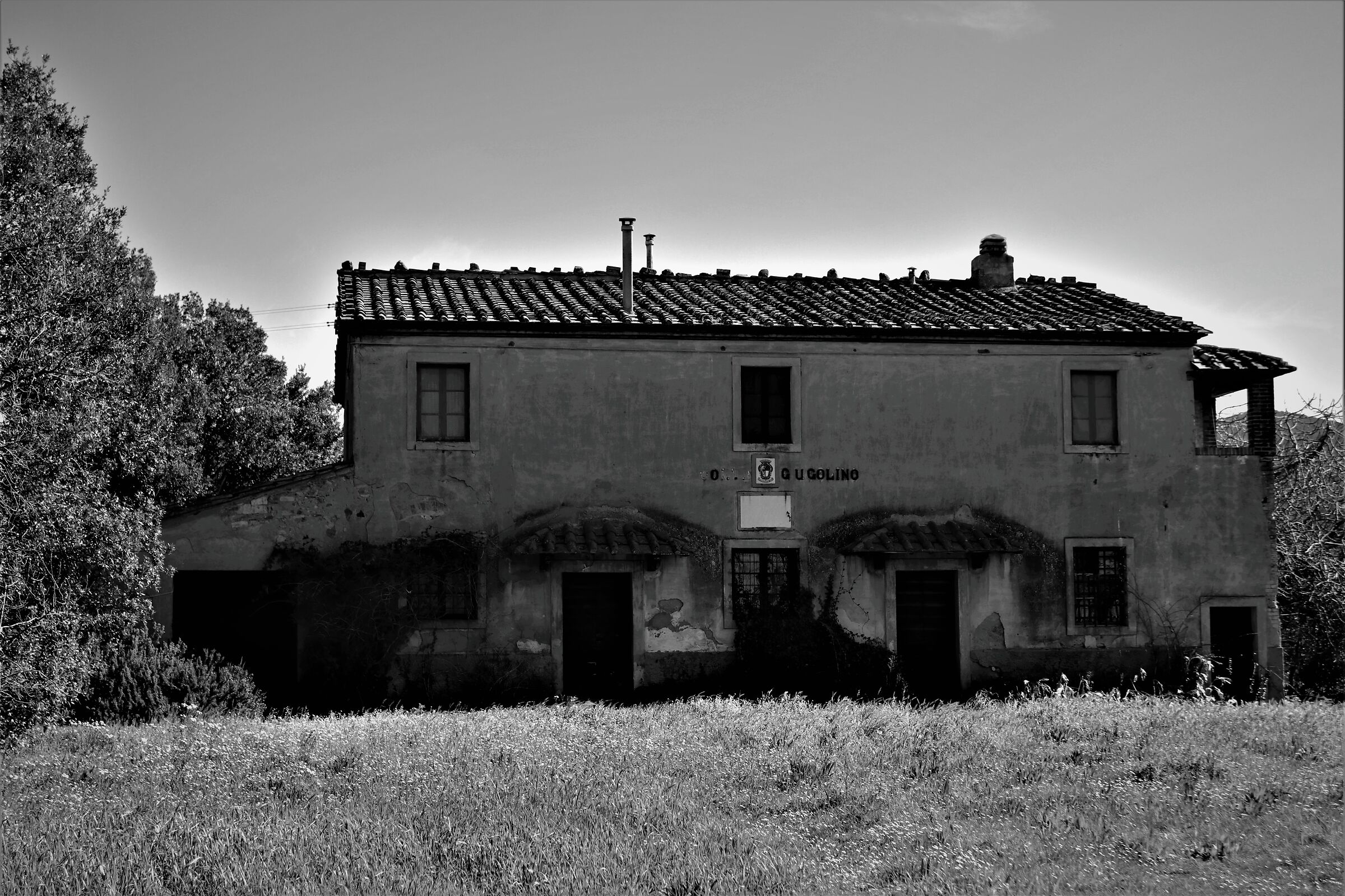 Rural farmhouse - Count Ugolino - Bolgheri...