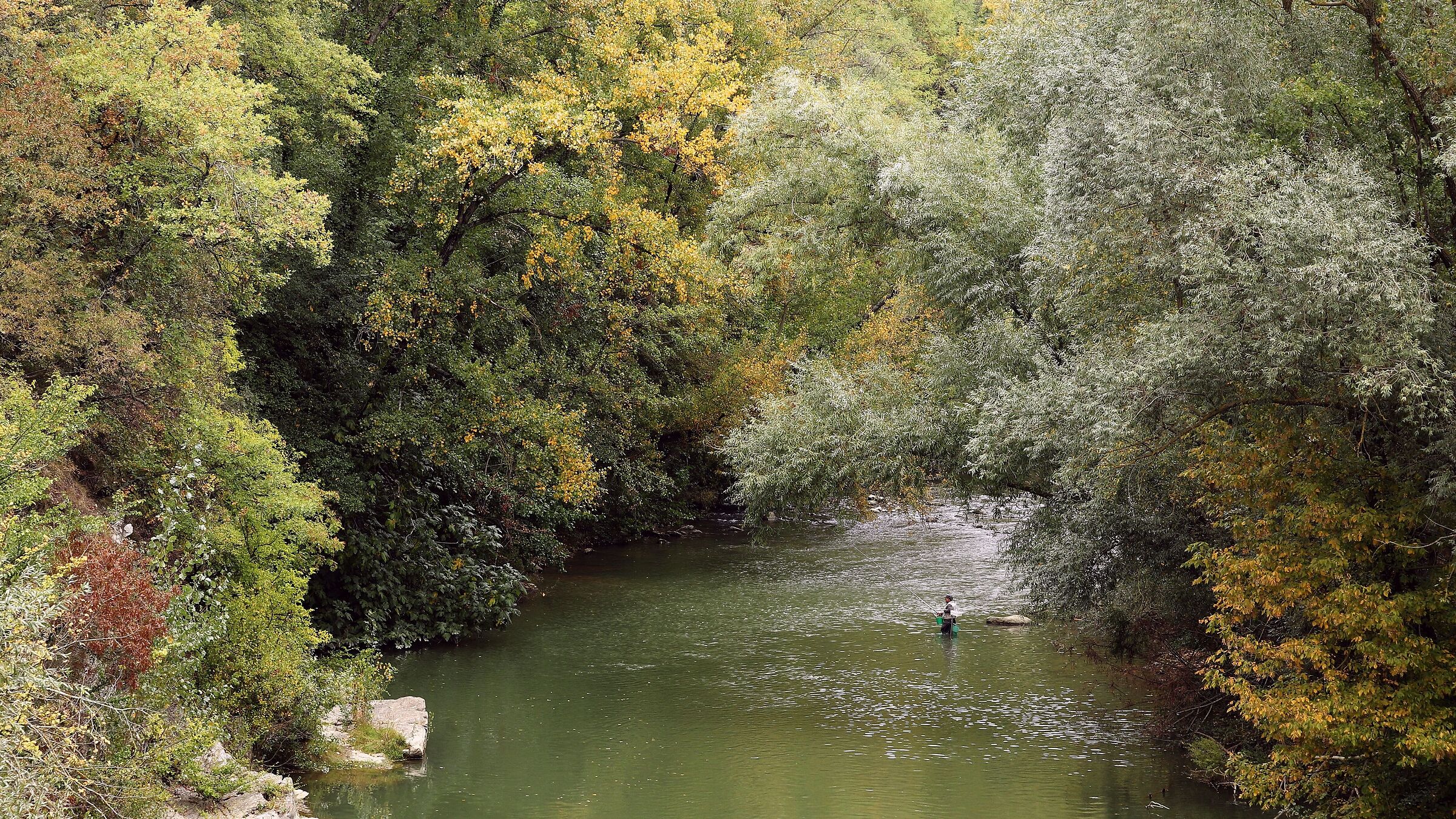 Autumn on the River Sieve...