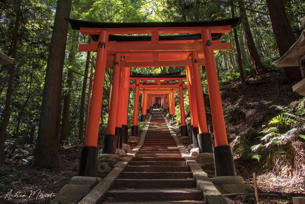 Fushimi Inari Taisha, Torii Trail - Kyoto (Japan)...