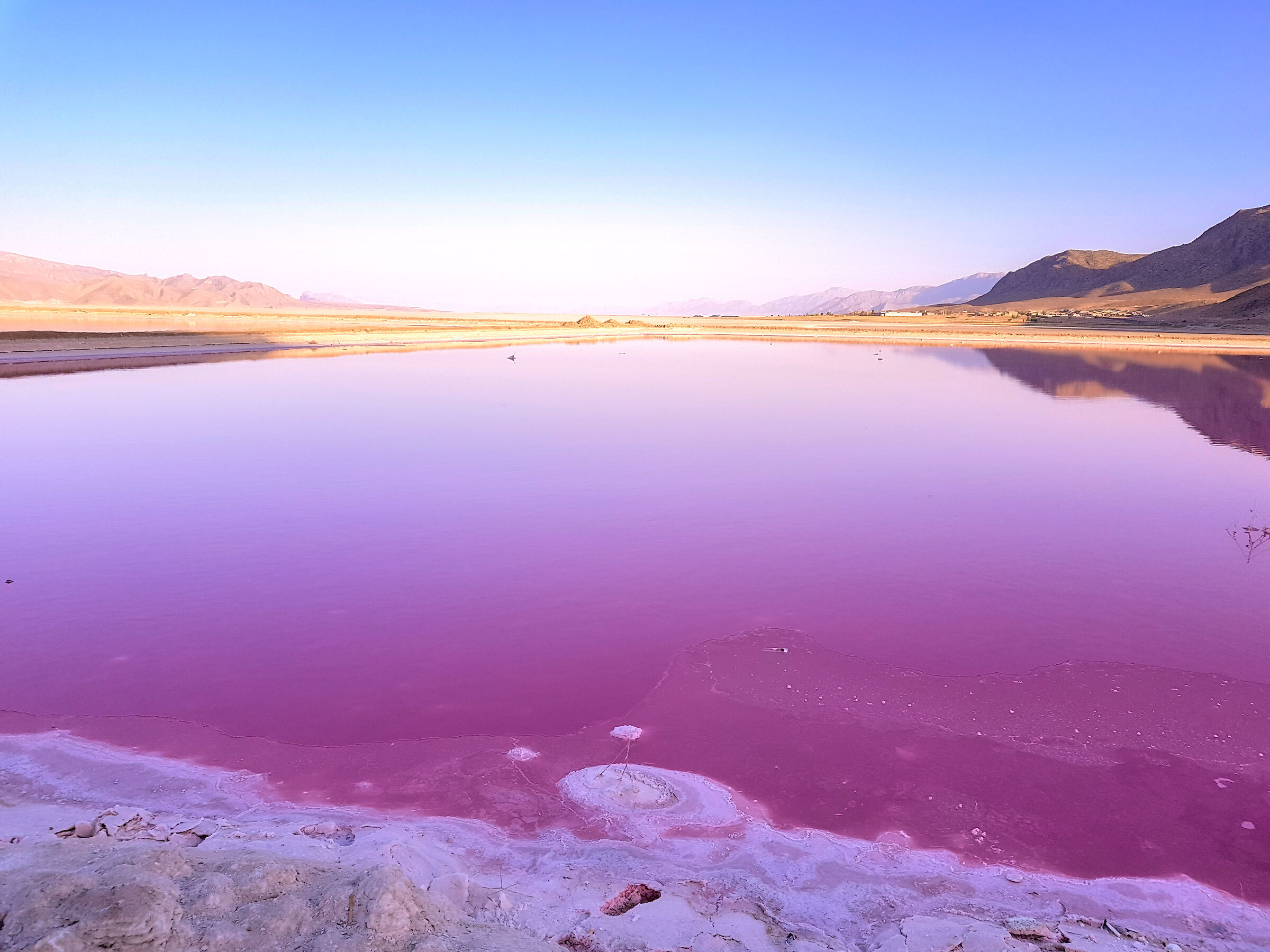 Maharloo Pink Lake, near Shiraz...