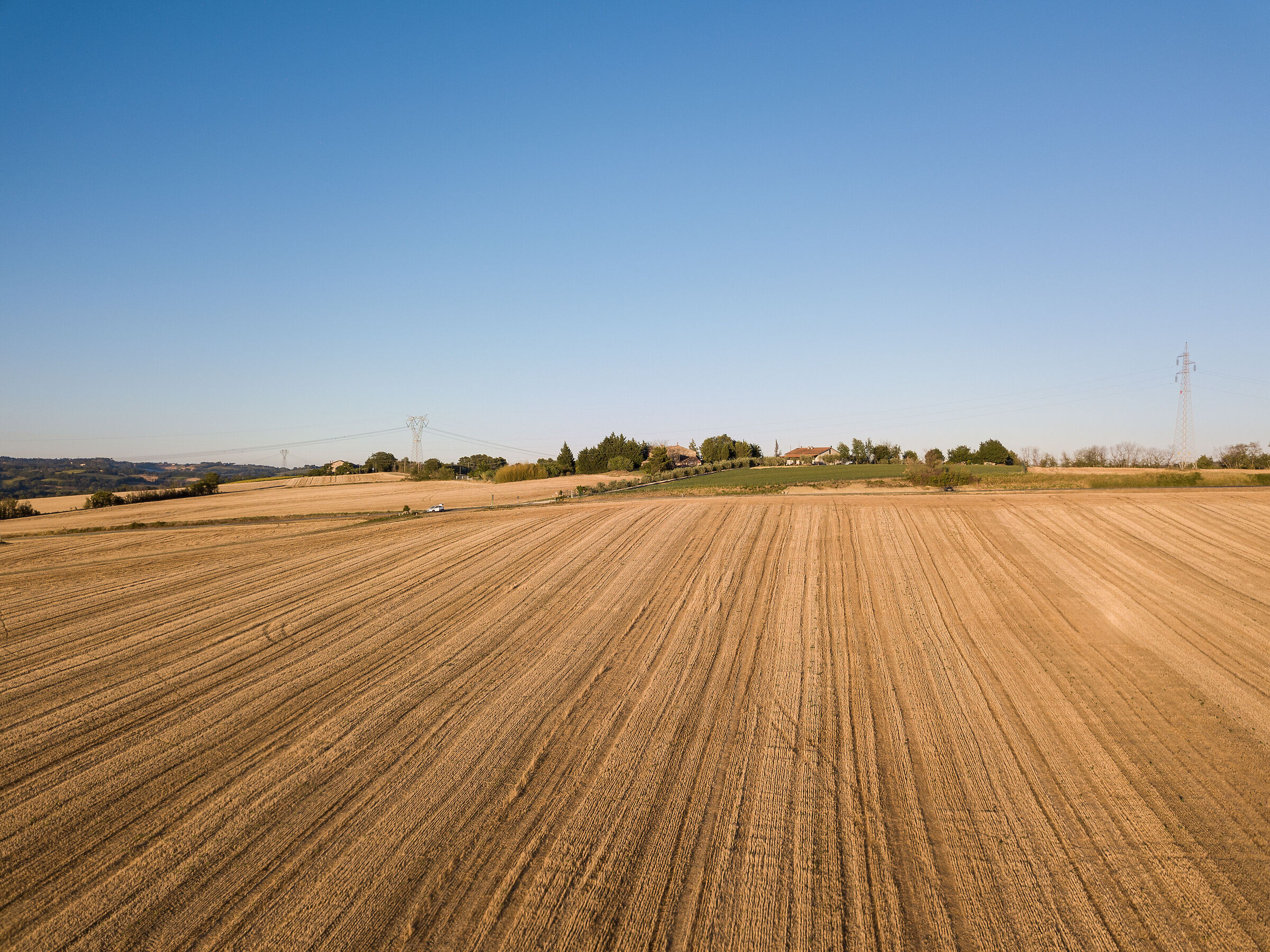 wheat field...