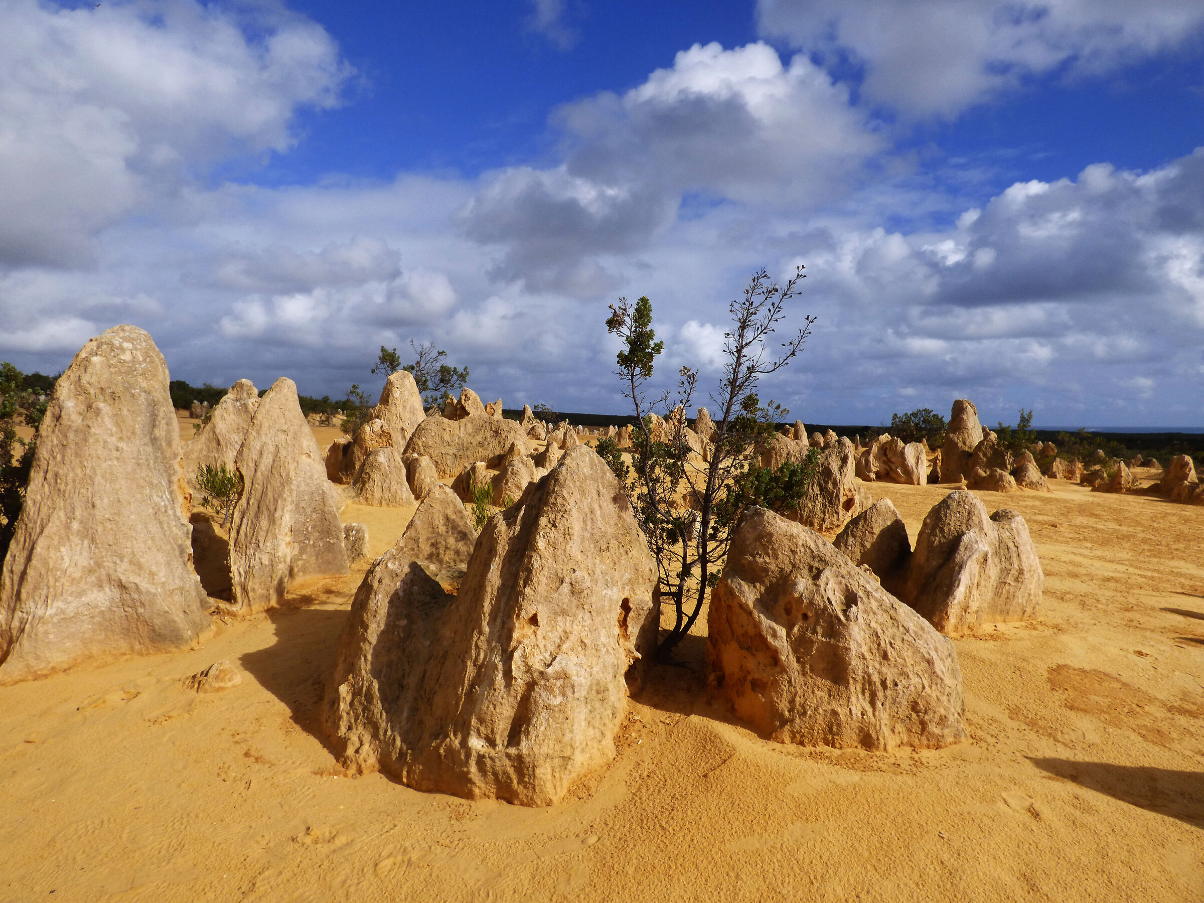 Australia, the Pinnacles Desert...