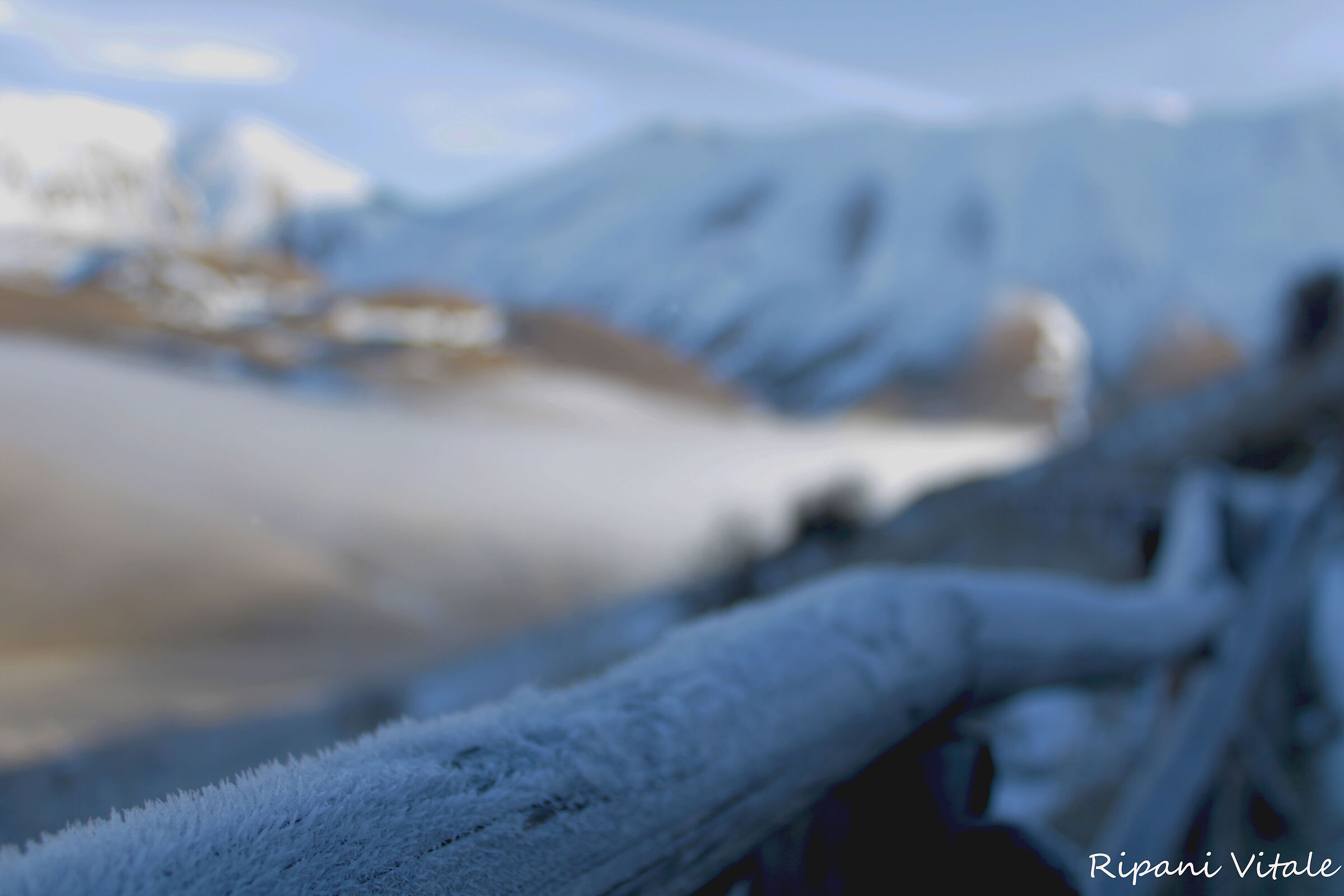 Castelluccio December...