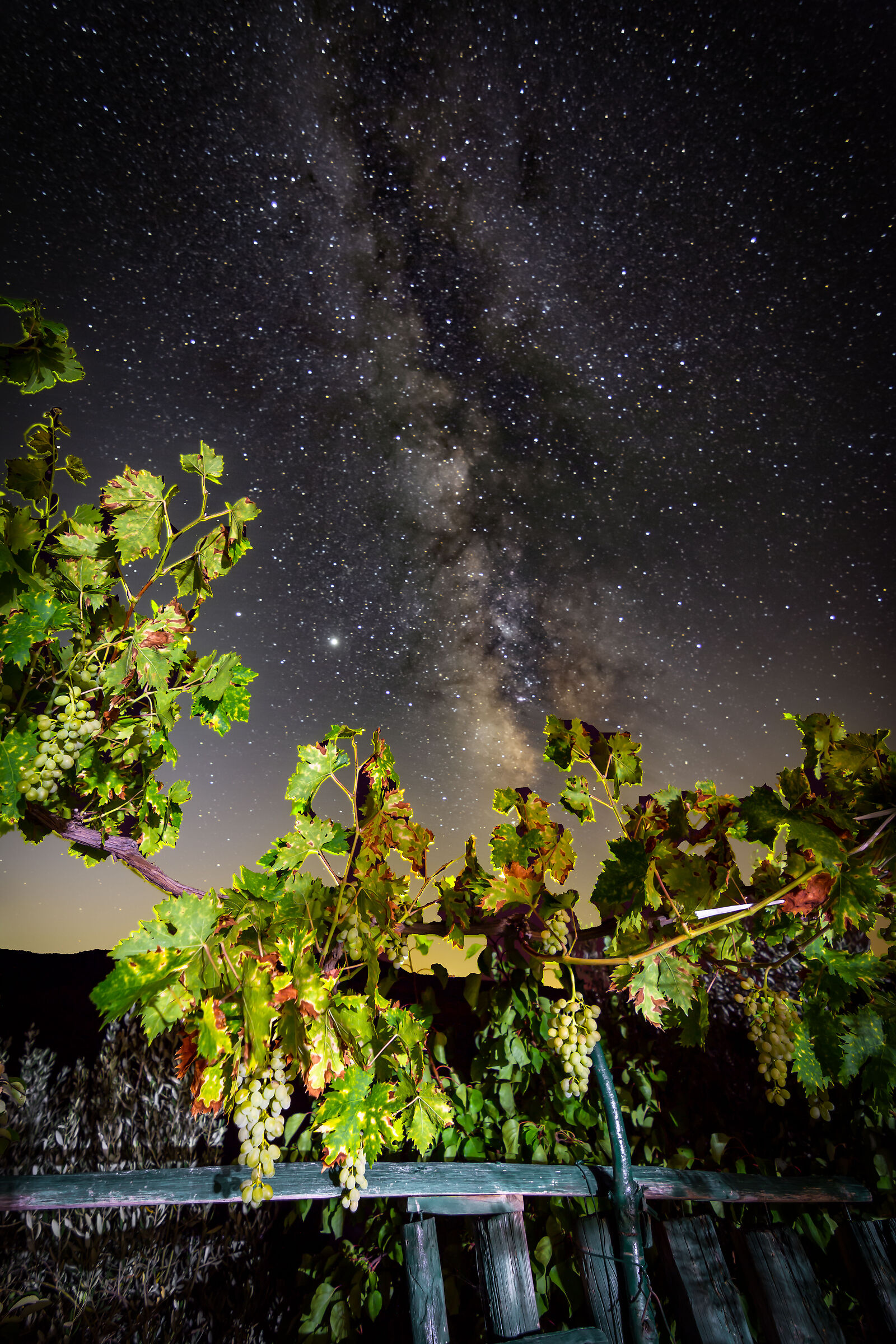 grapes and milky way...