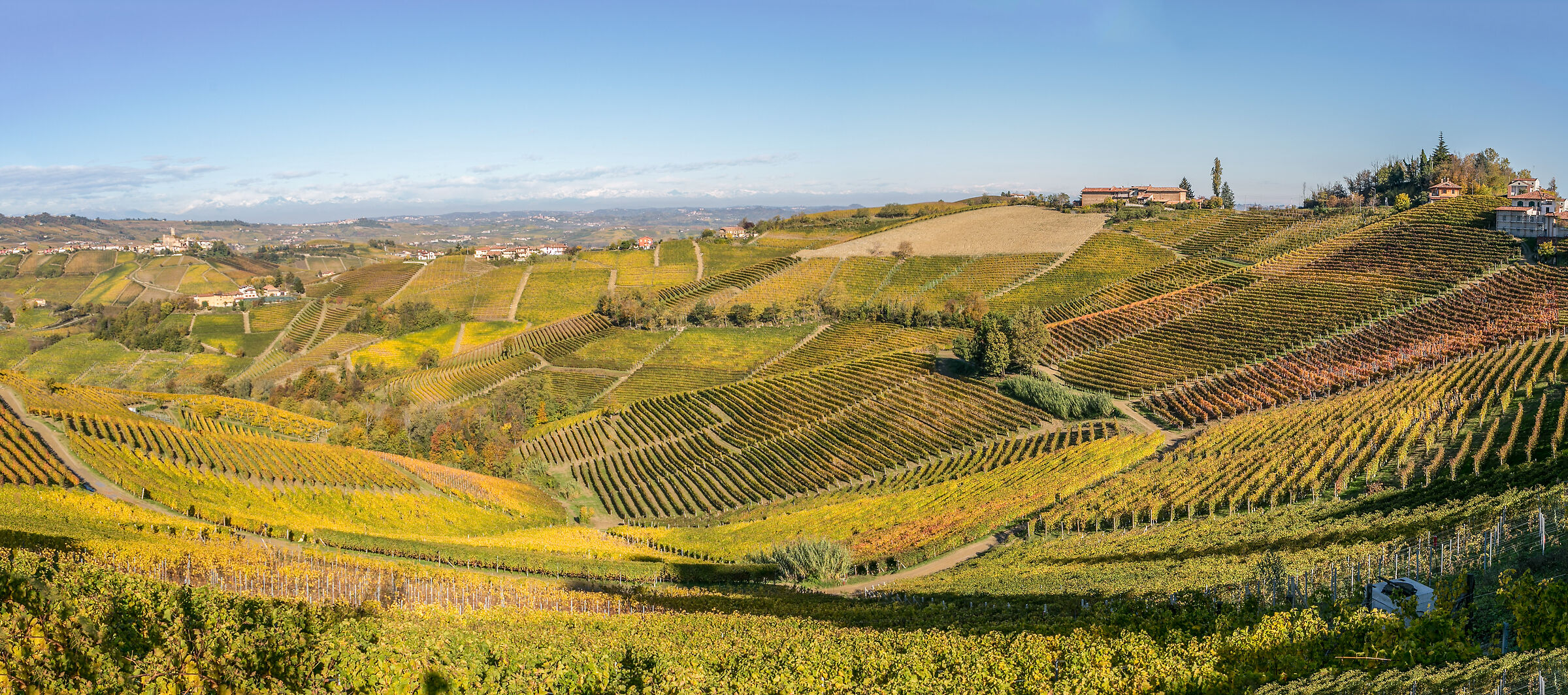 COLOURS IN THE LANGHE...