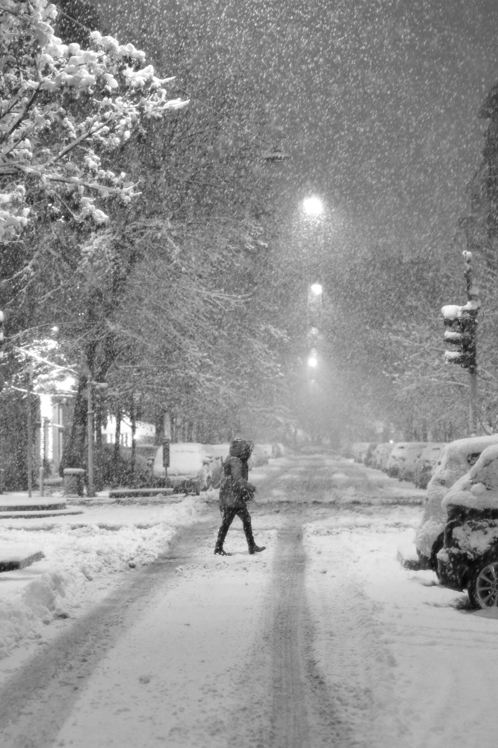Milano-passeggiando sotto la neve...