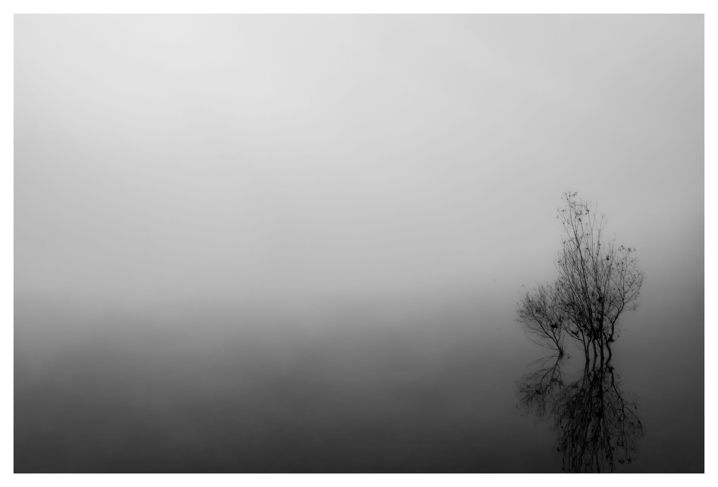 Mattino Lacustre III...