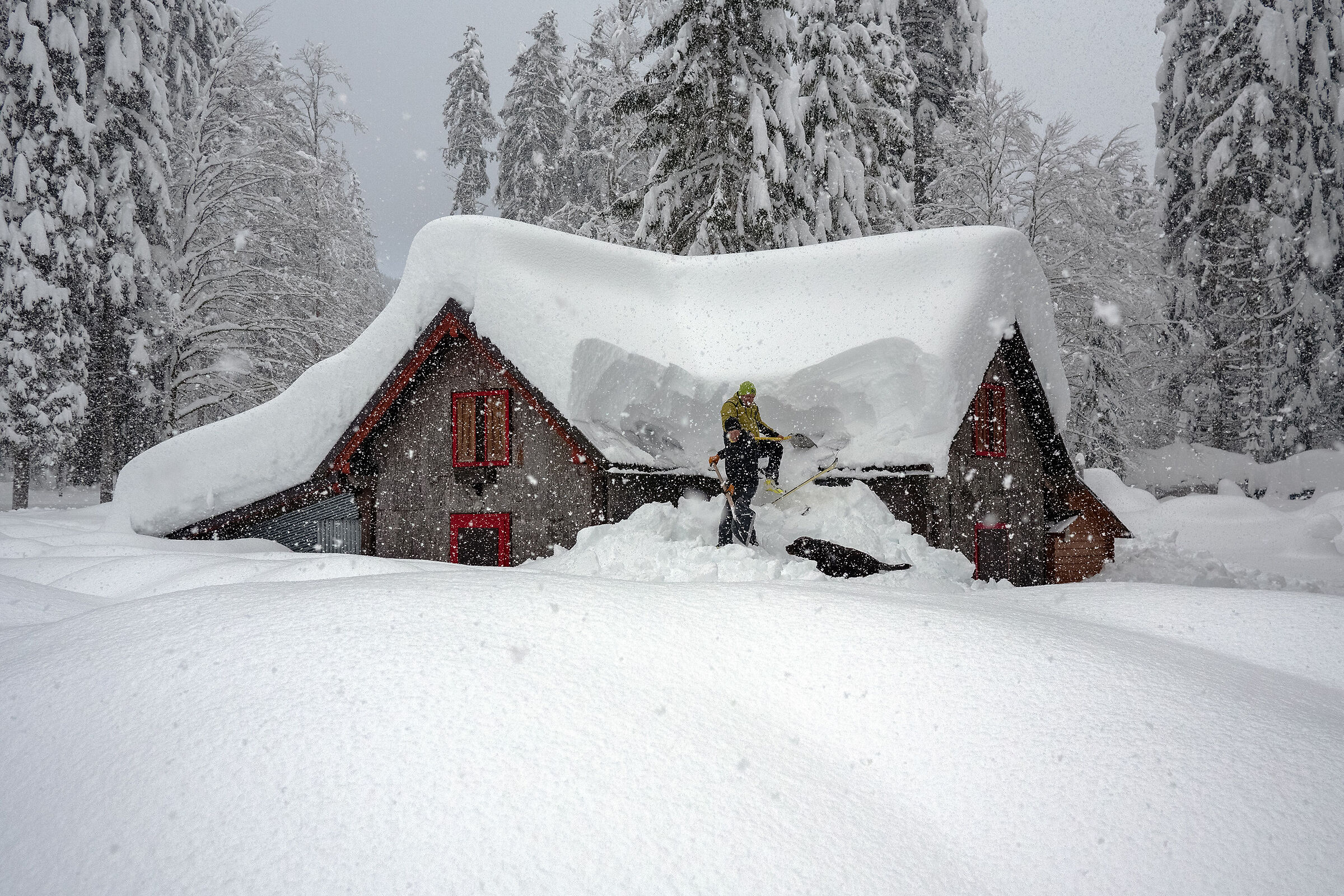 Inverno 20/21#2 - Alpi Giulie...