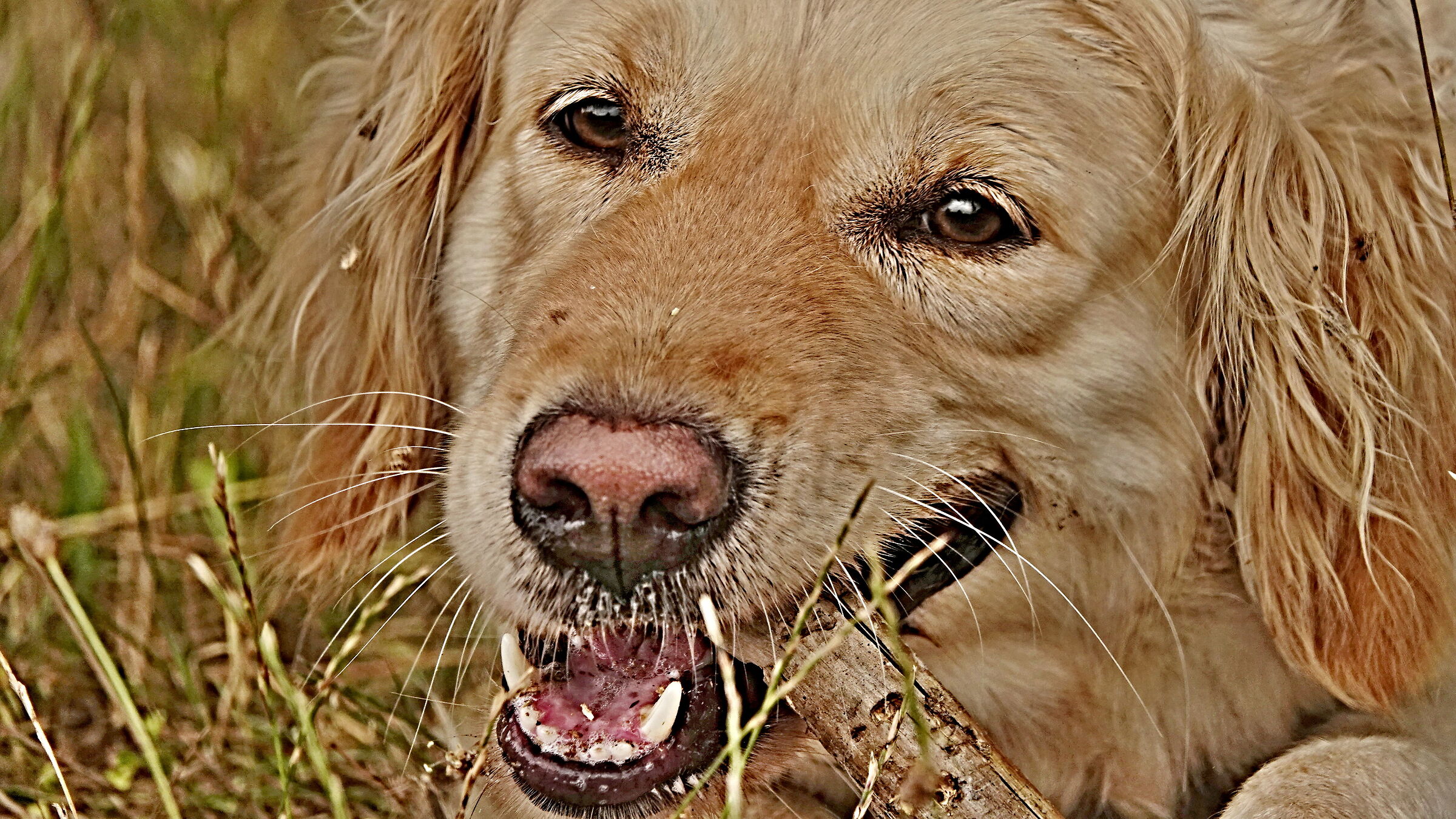 A smile is ... a smile...