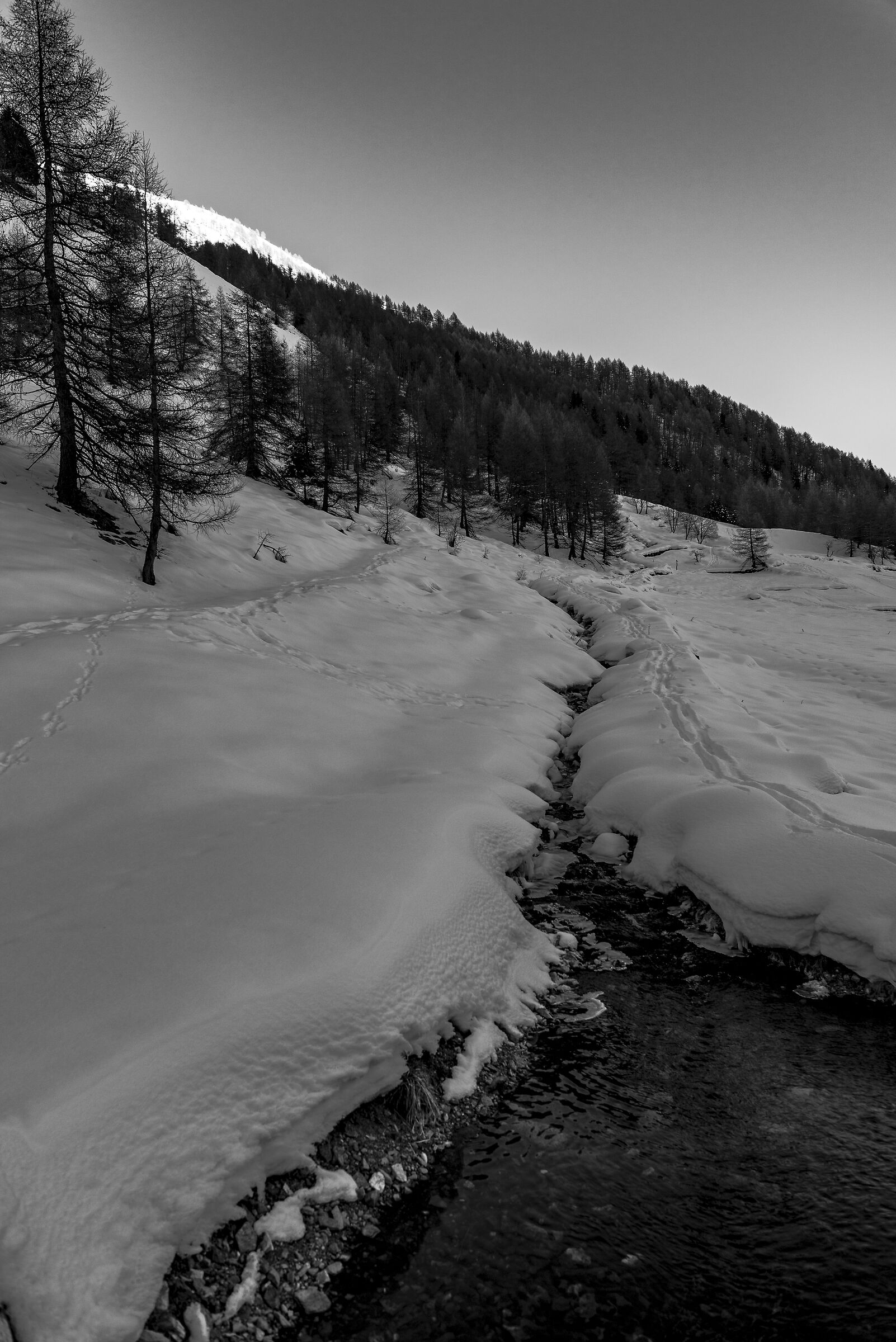 valle delle messi 3...