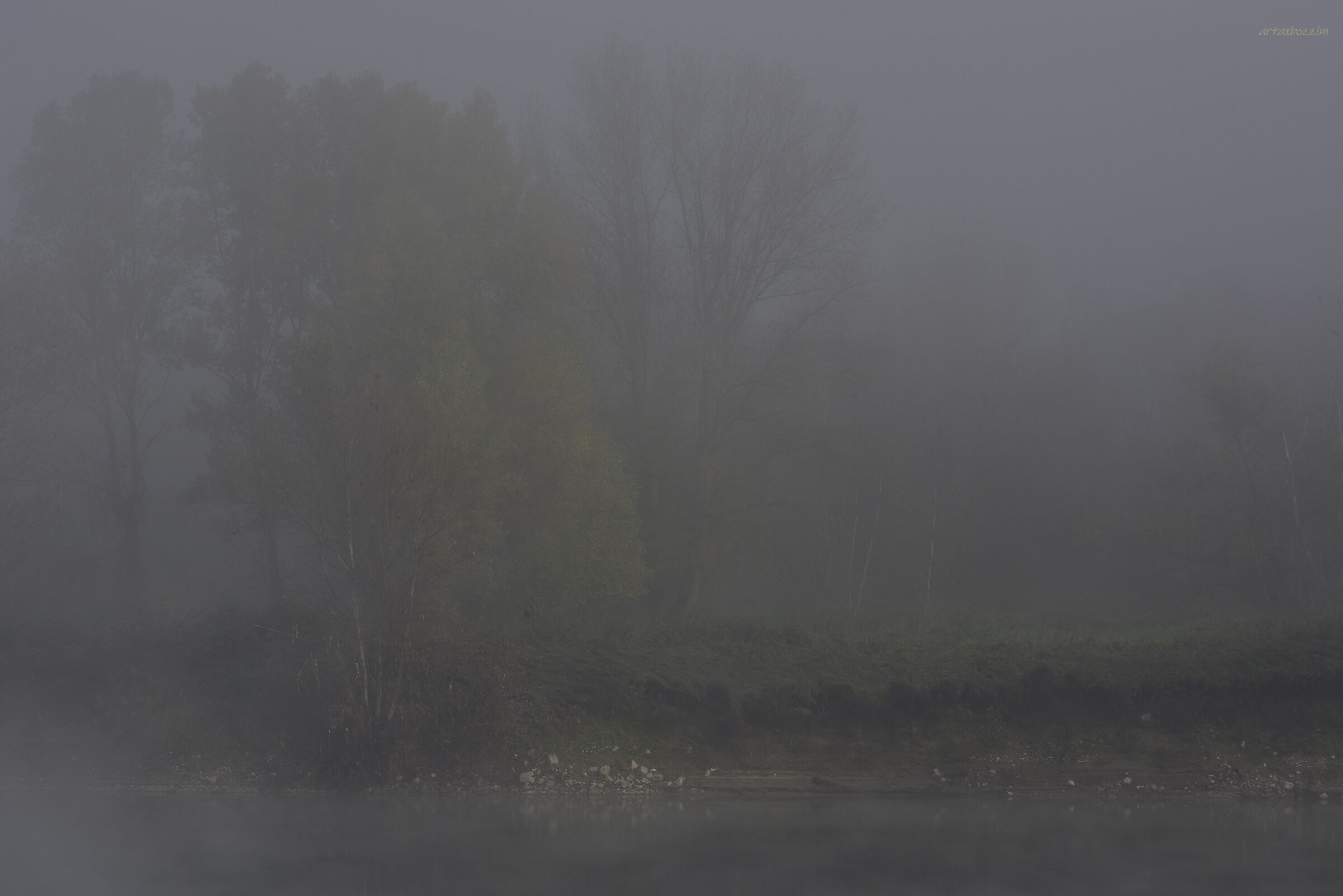 Islet Maggi with fog...