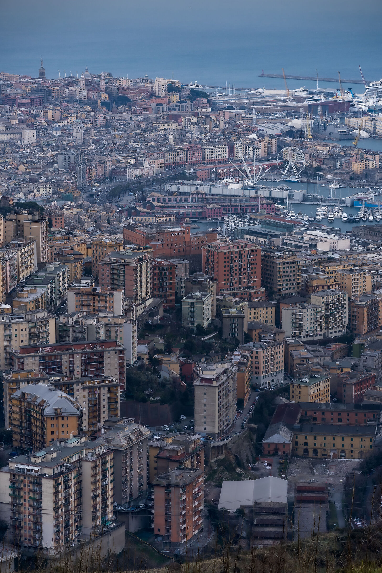 Genoa...
