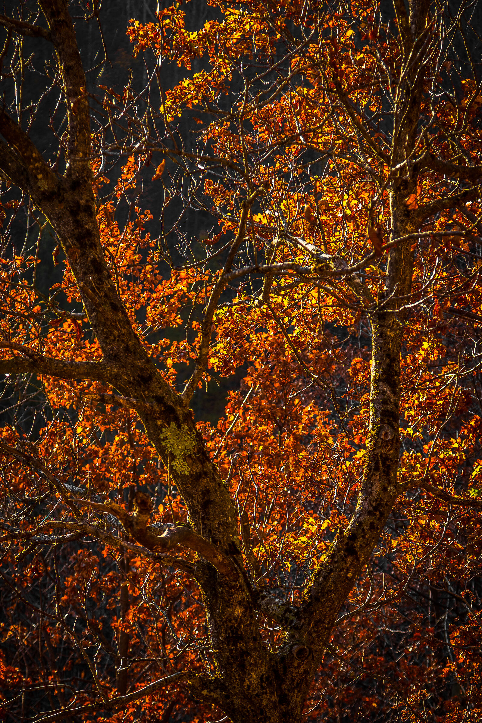 the sun falls, the colors warm up...