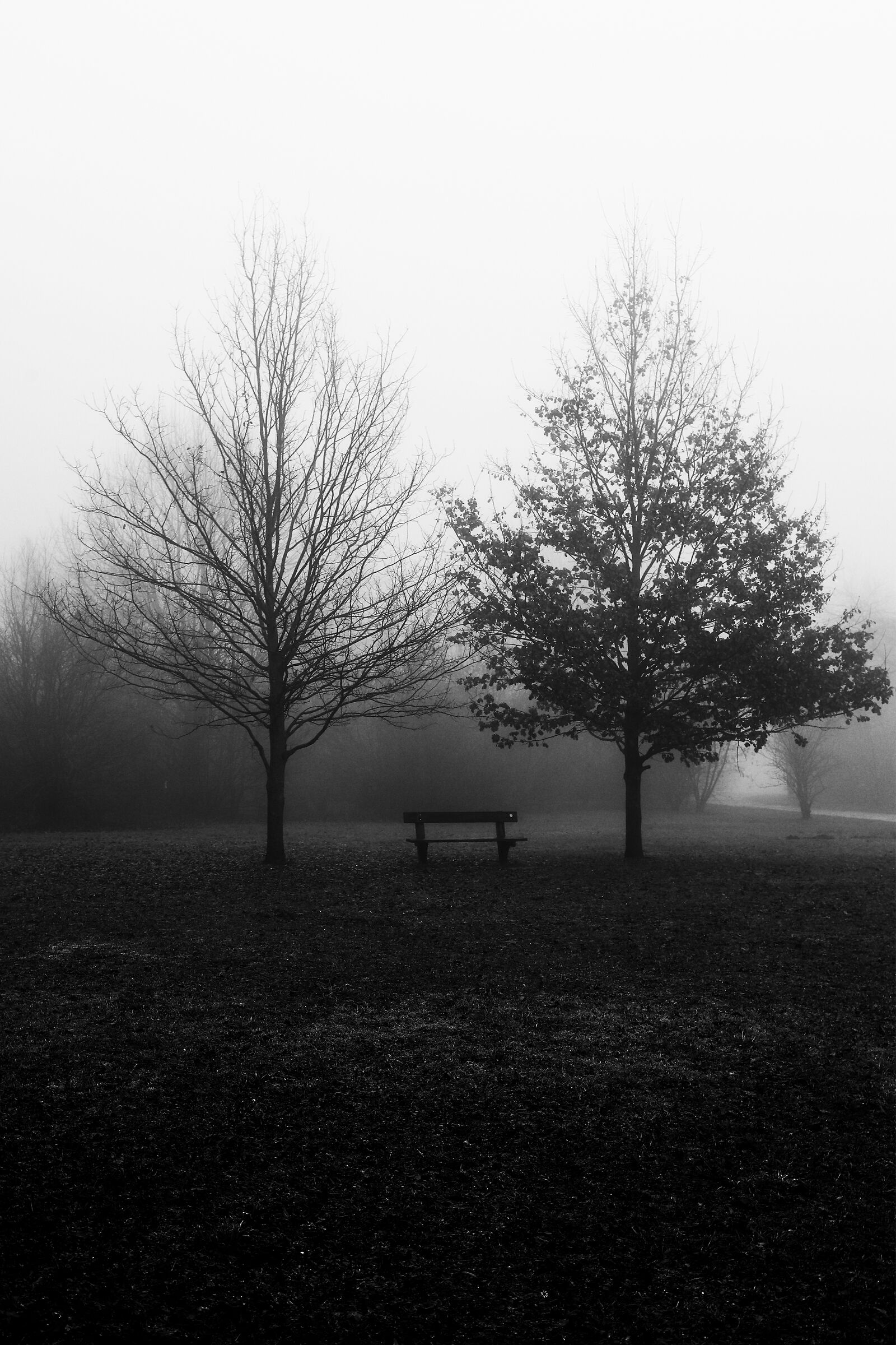 The silences of the park...