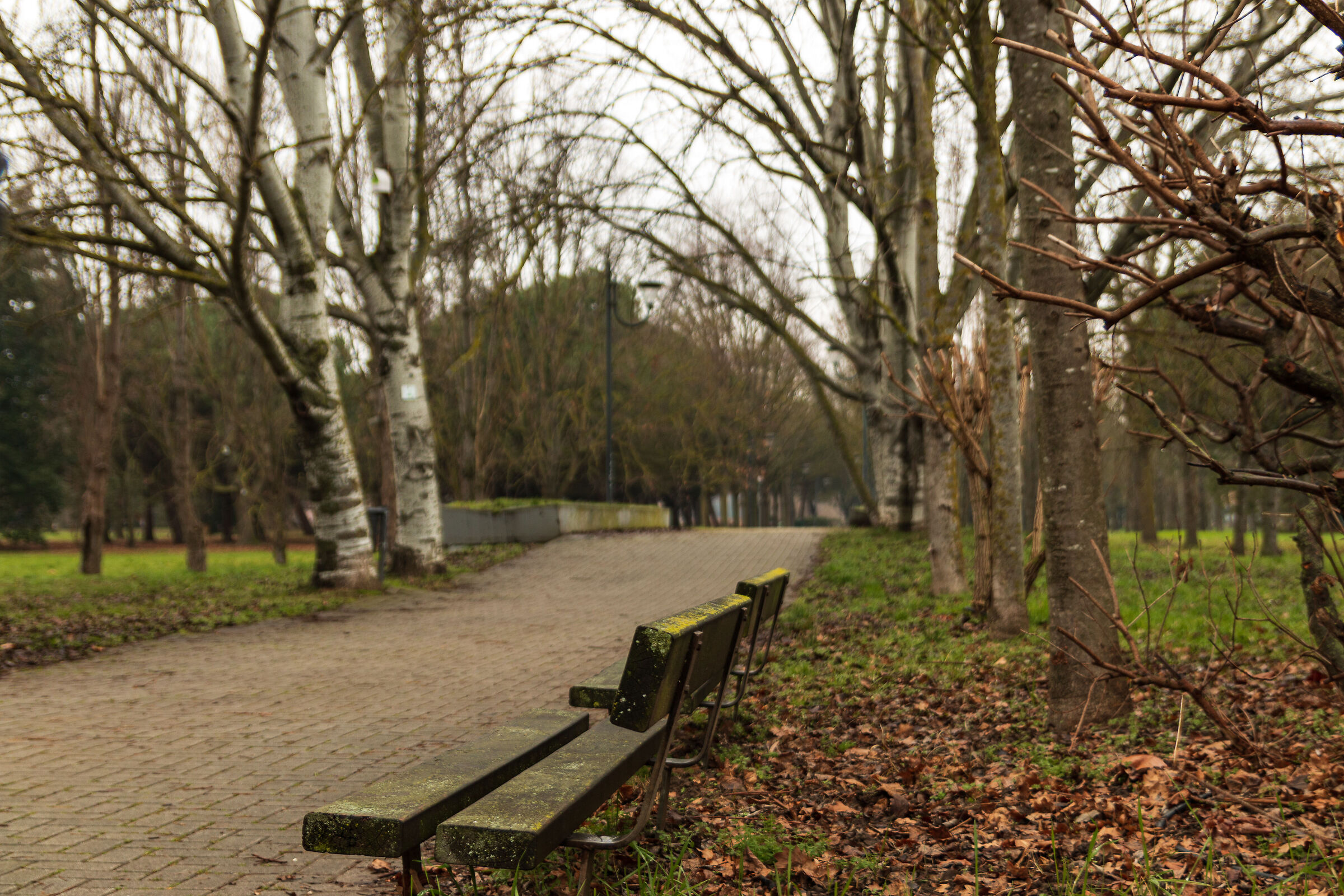 Benches at the park...