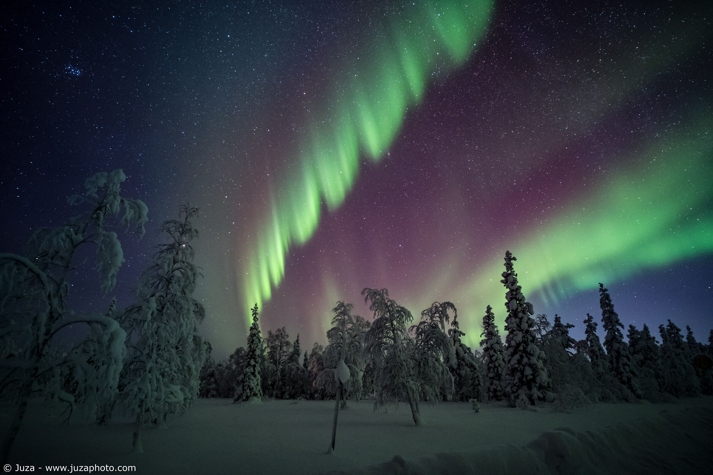 L'aurora boreale sulla foresta svedese...
