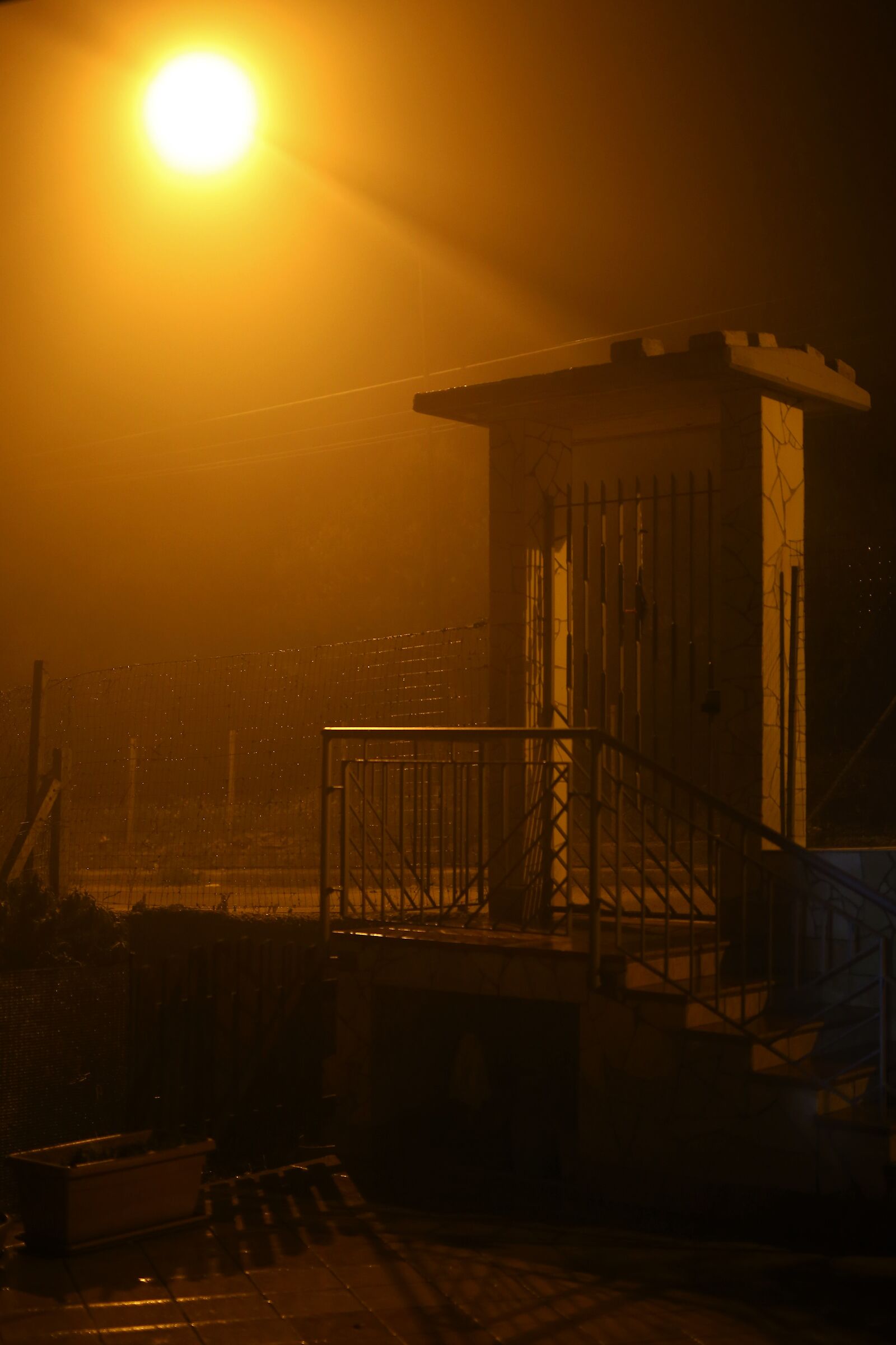Waiting for the sunrise in the fog!...