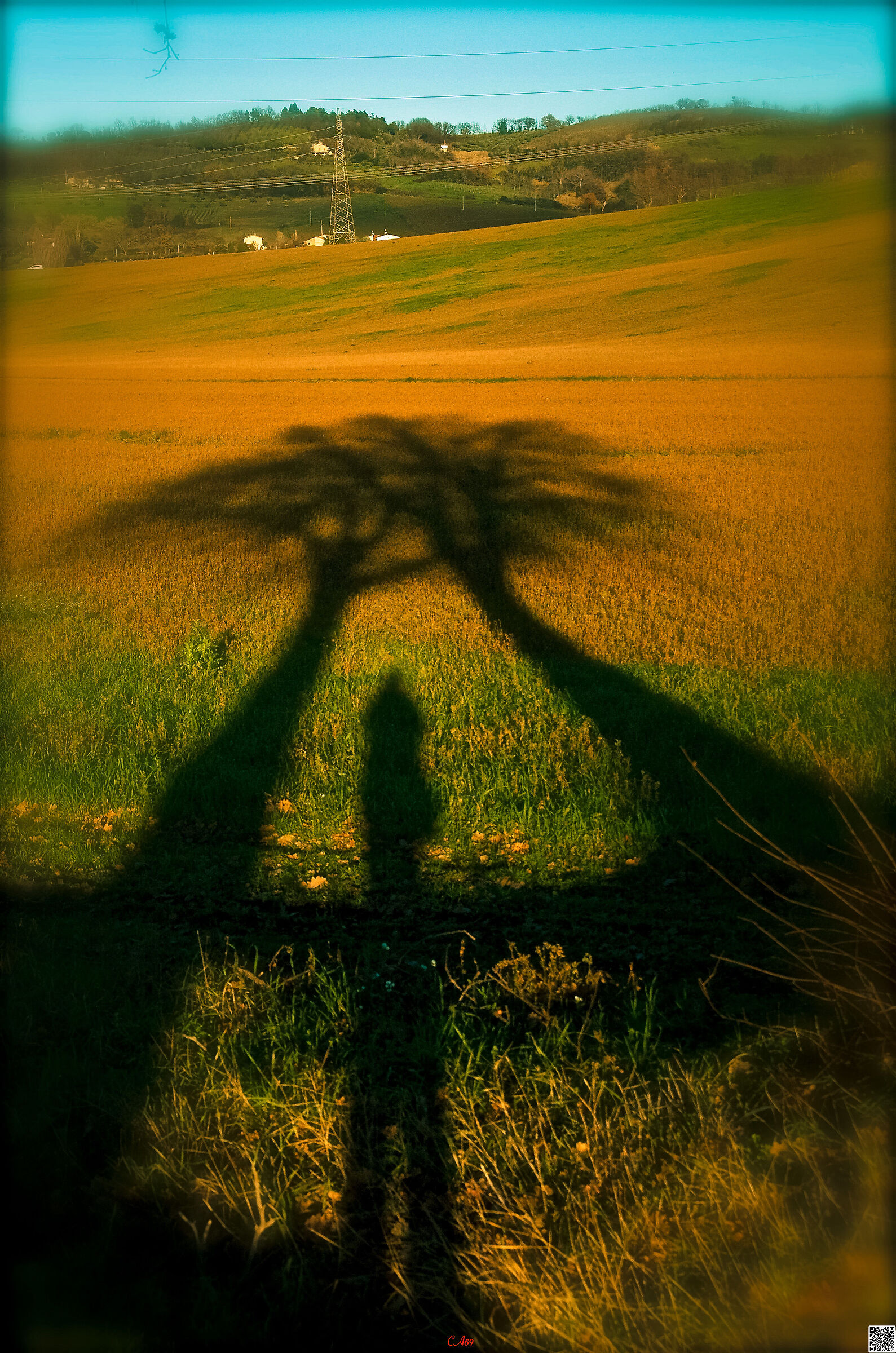 abbraccio...
