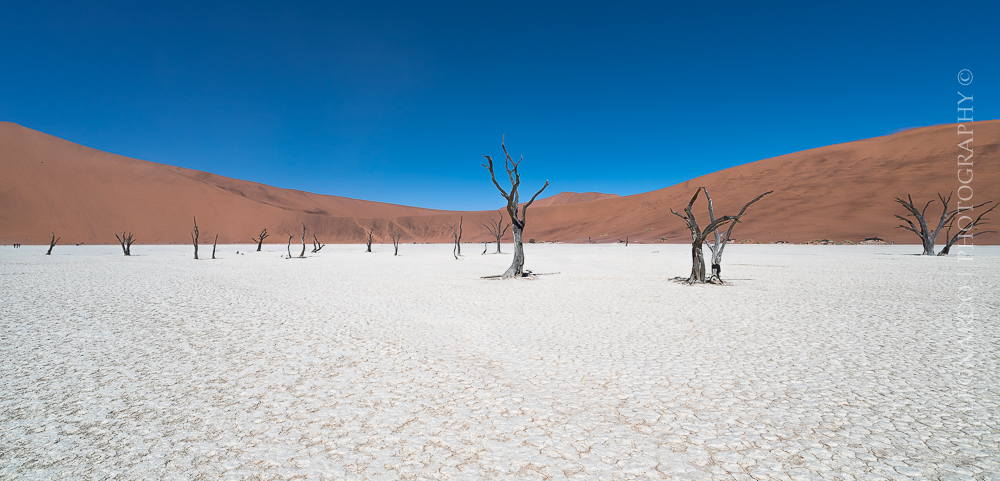 Namib desert...