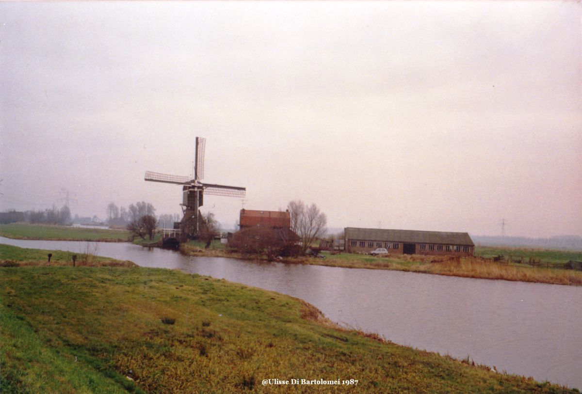 Un mulino in Olanda......