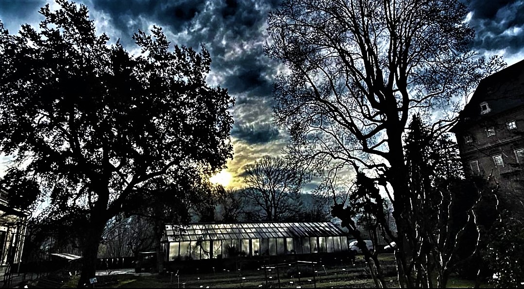 glimpse of Turin at sunset.....