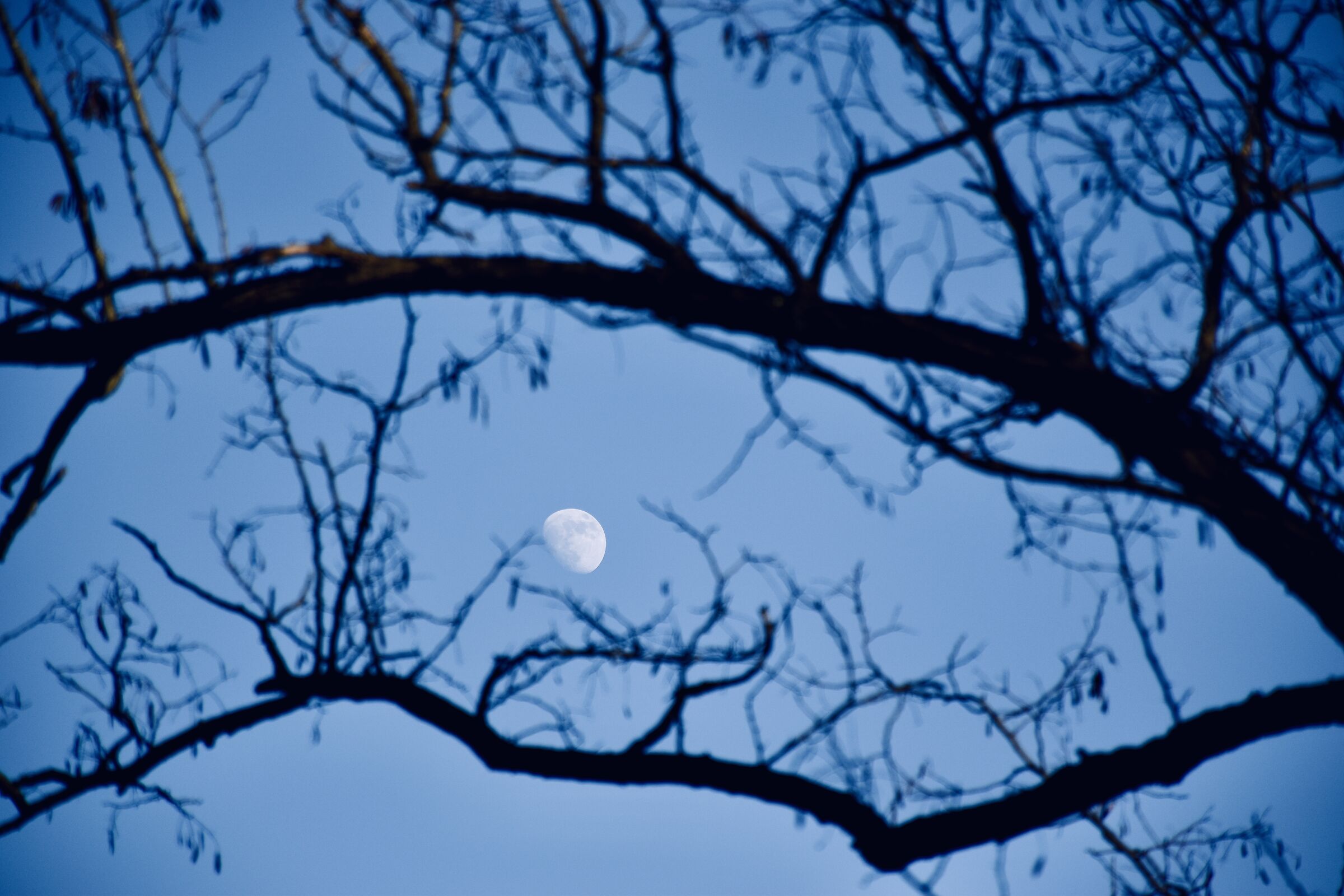 Accarezzare la Luna...