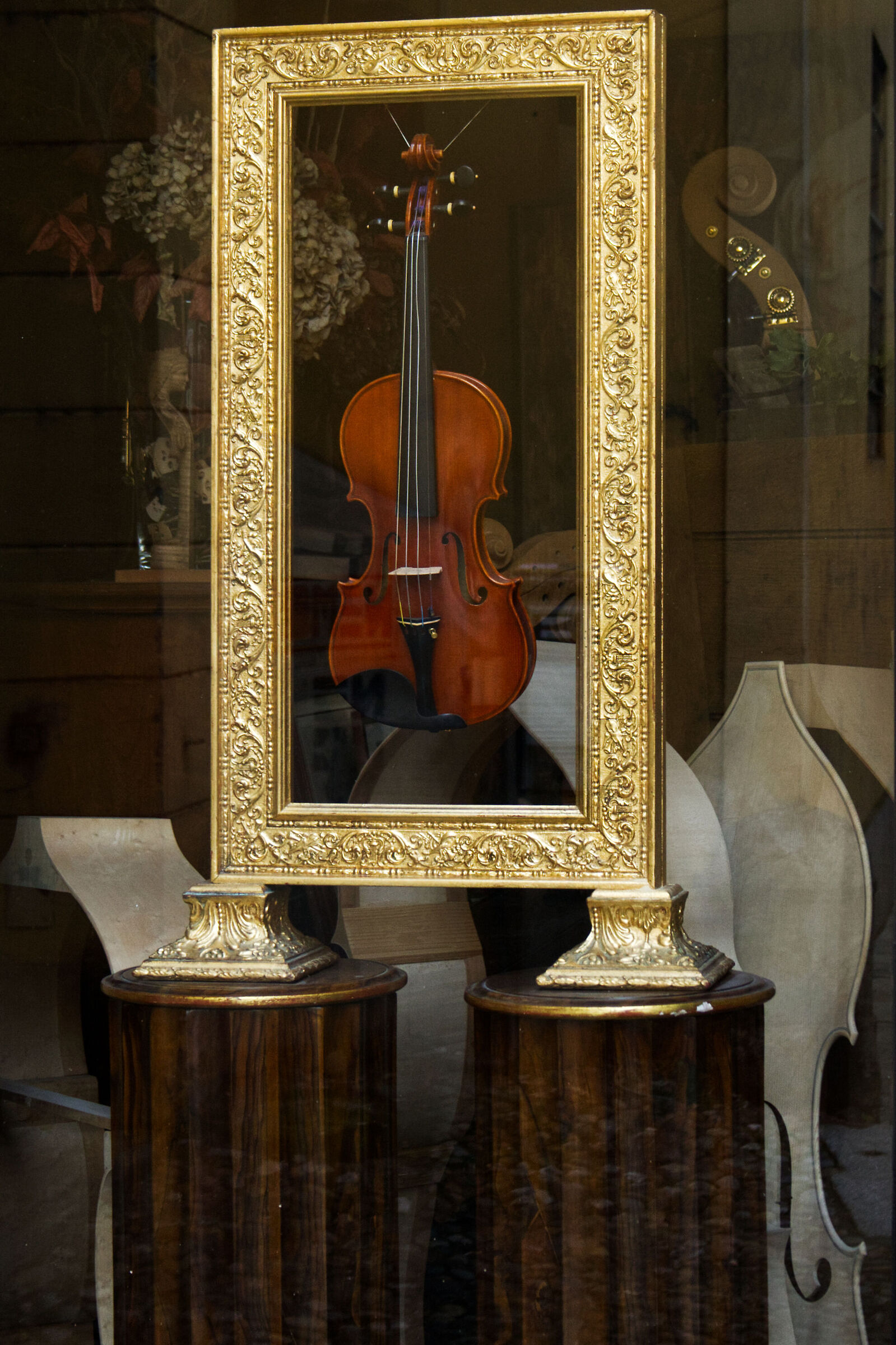 The Violin...
