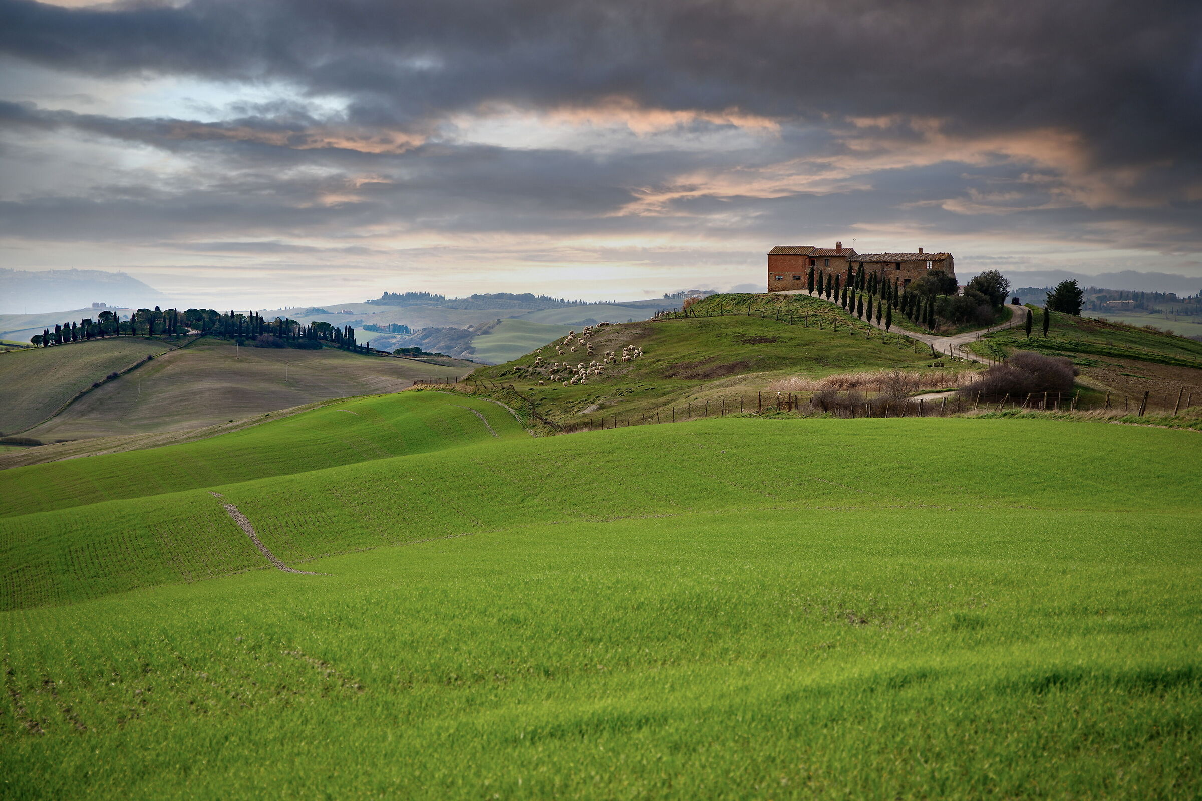 A classic of the Val d'Orcia...