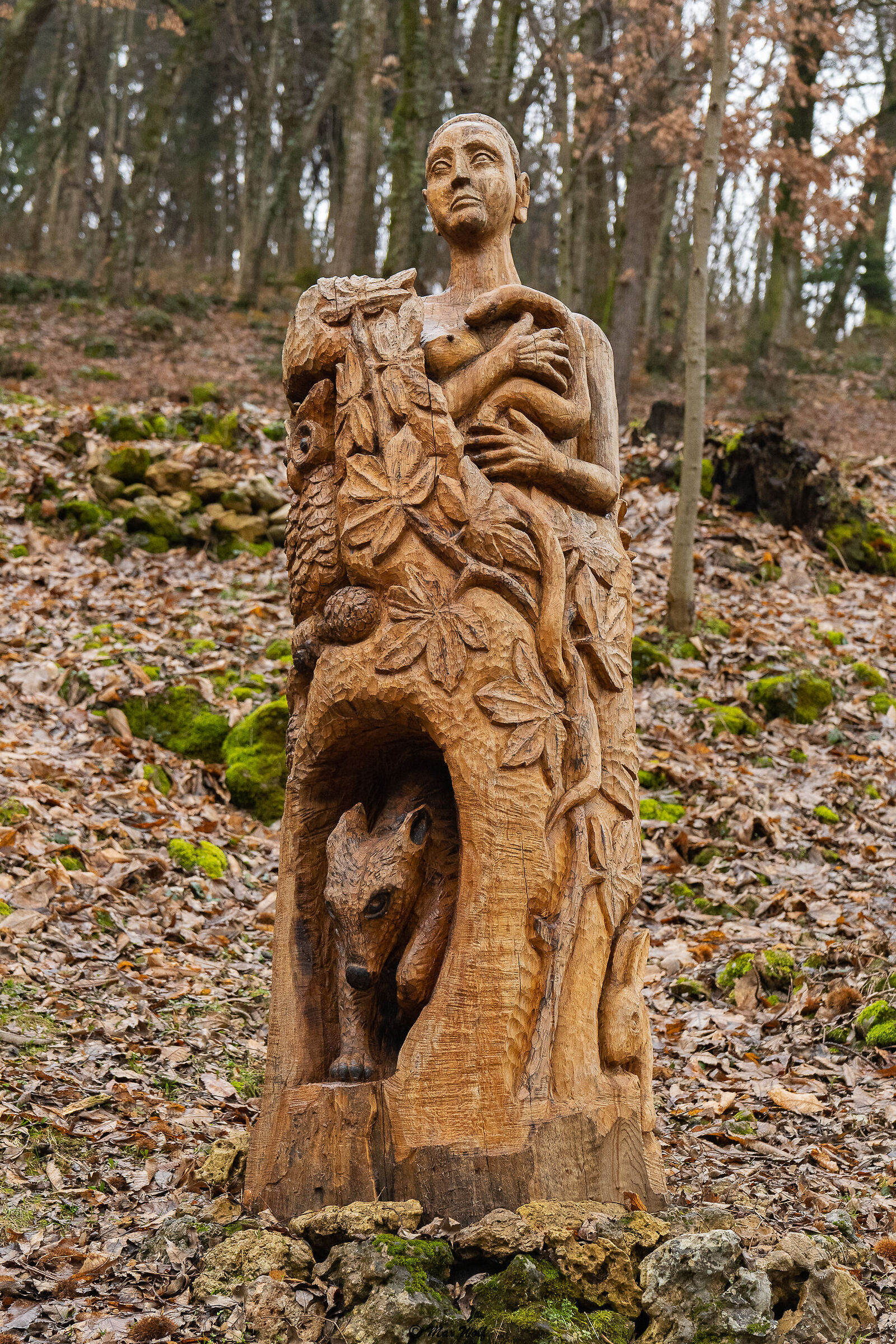 Wood sculpture 7...