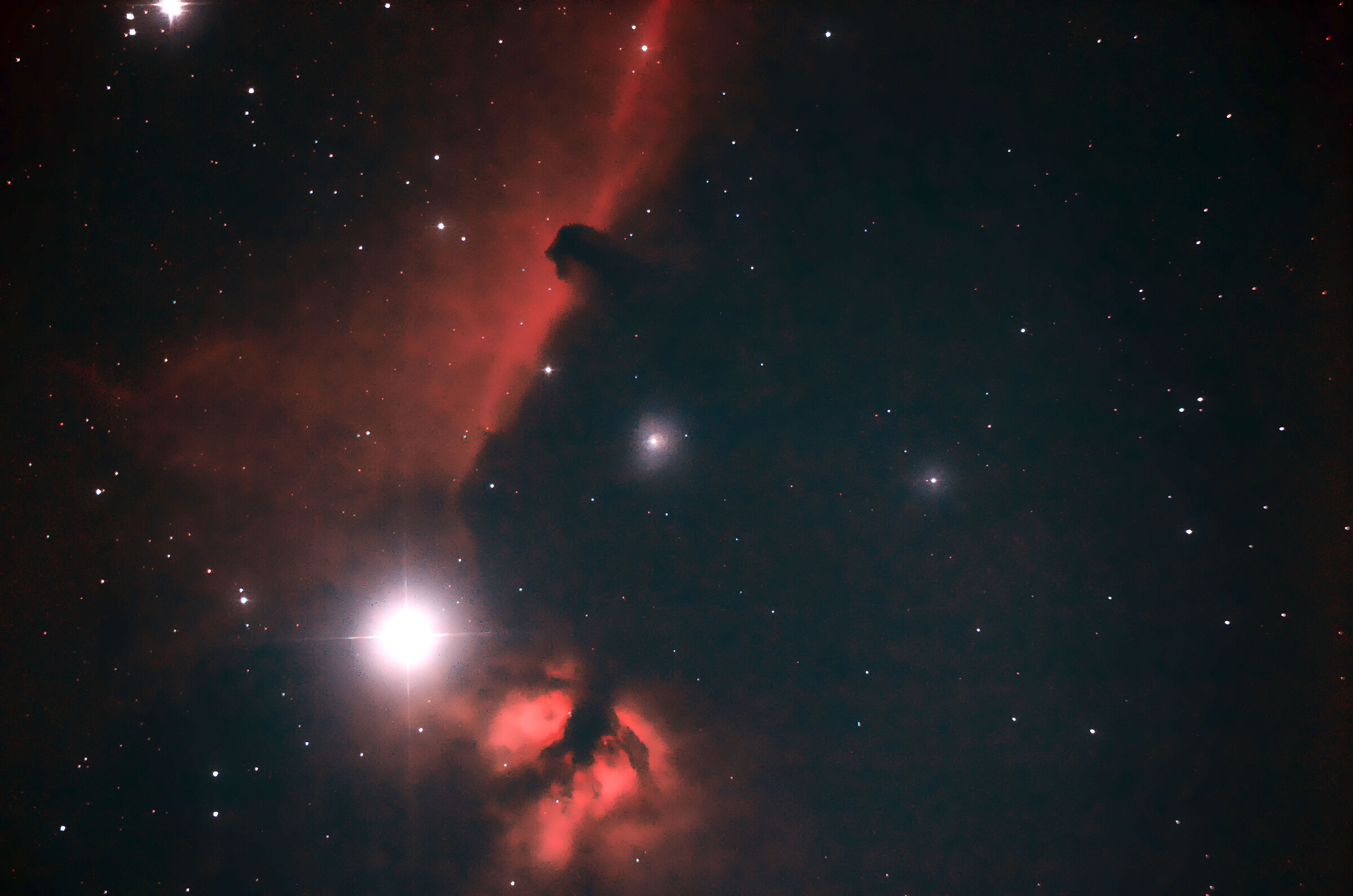 horse's head in orion...