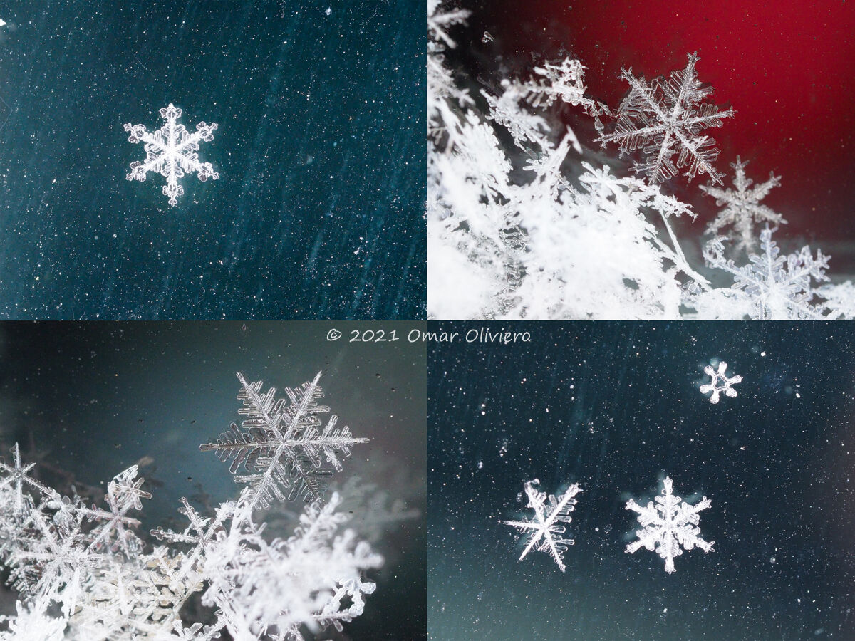 Cristalli di ghiaccio 4 foto...