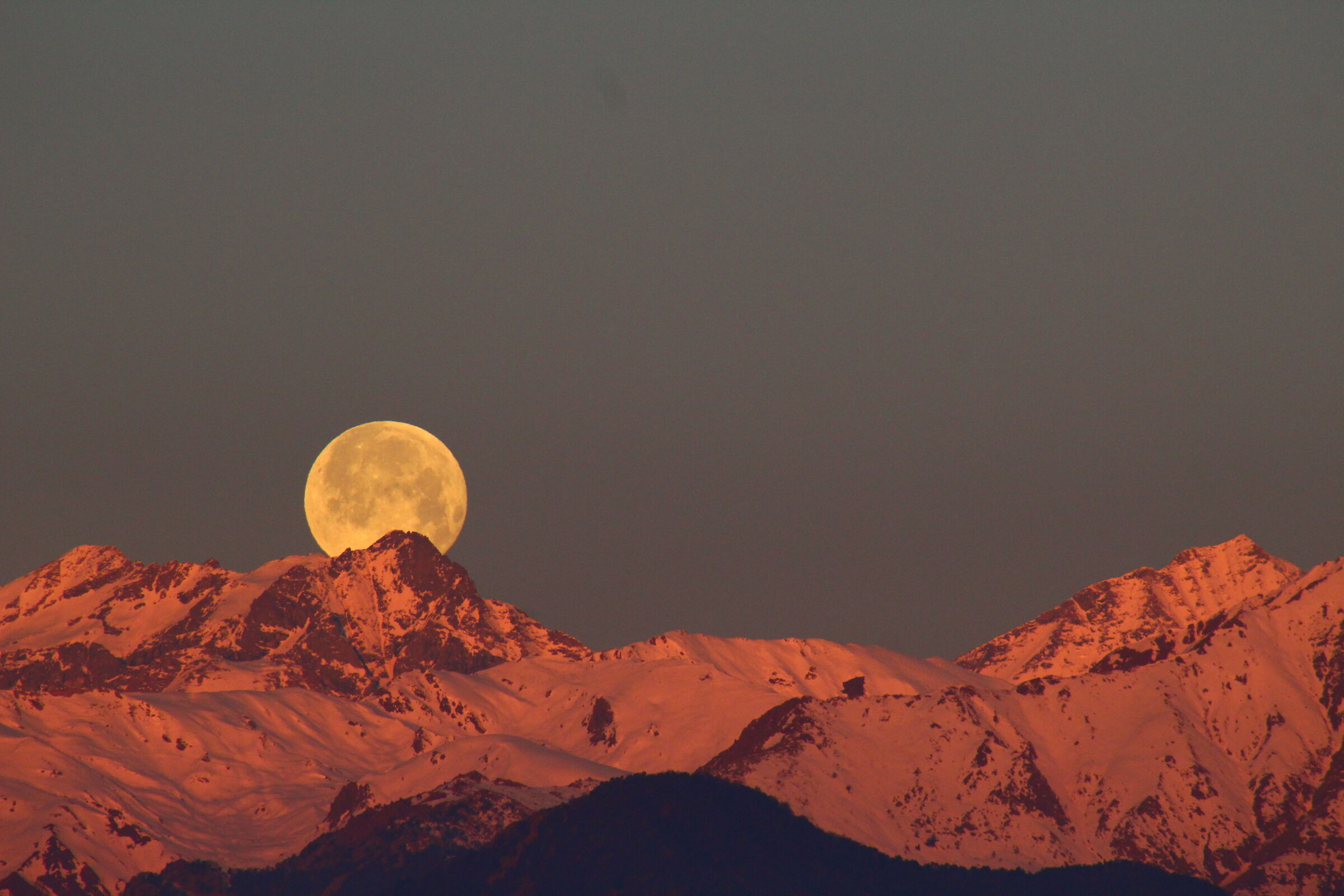 morning moon...