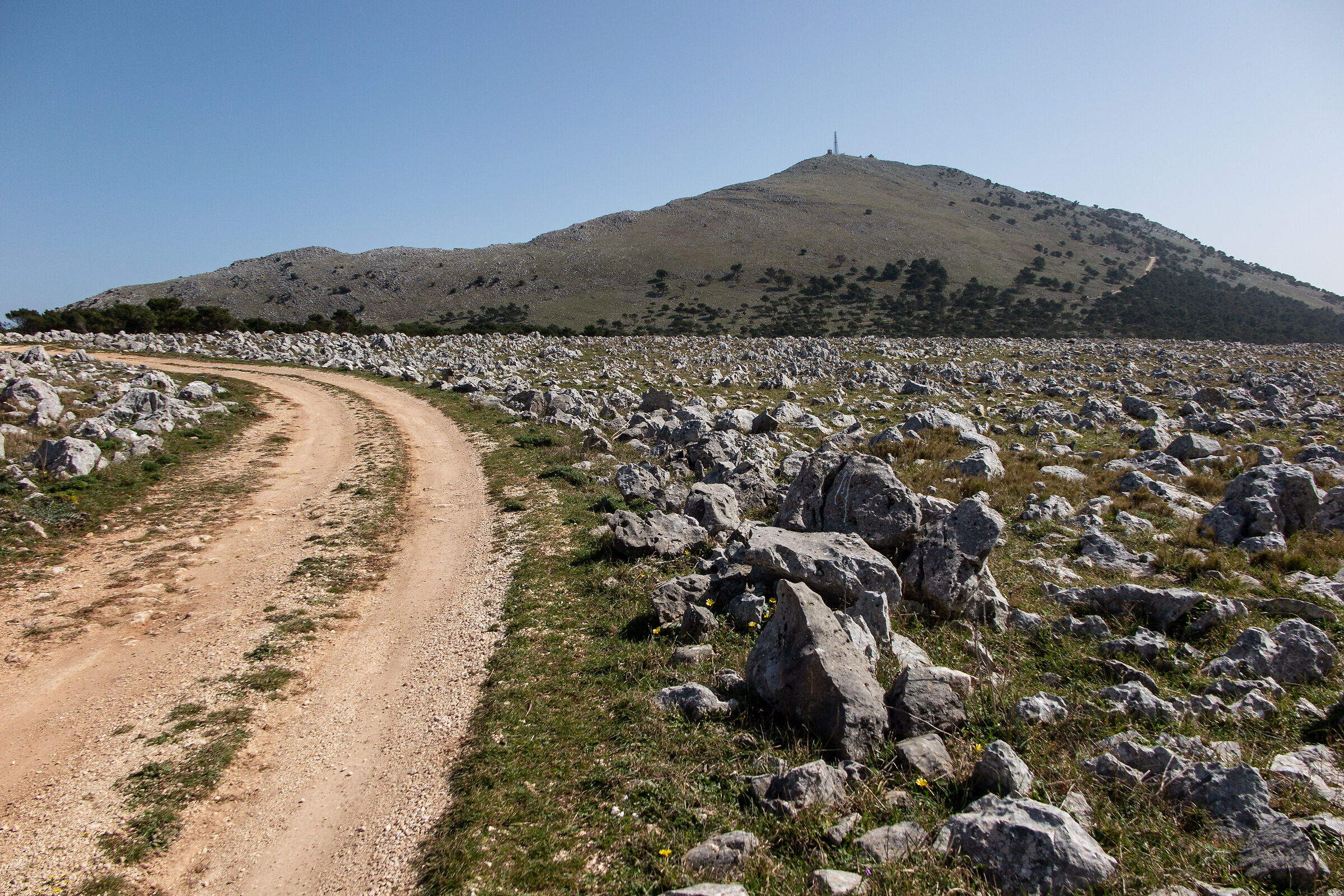 Salendo il Monte...