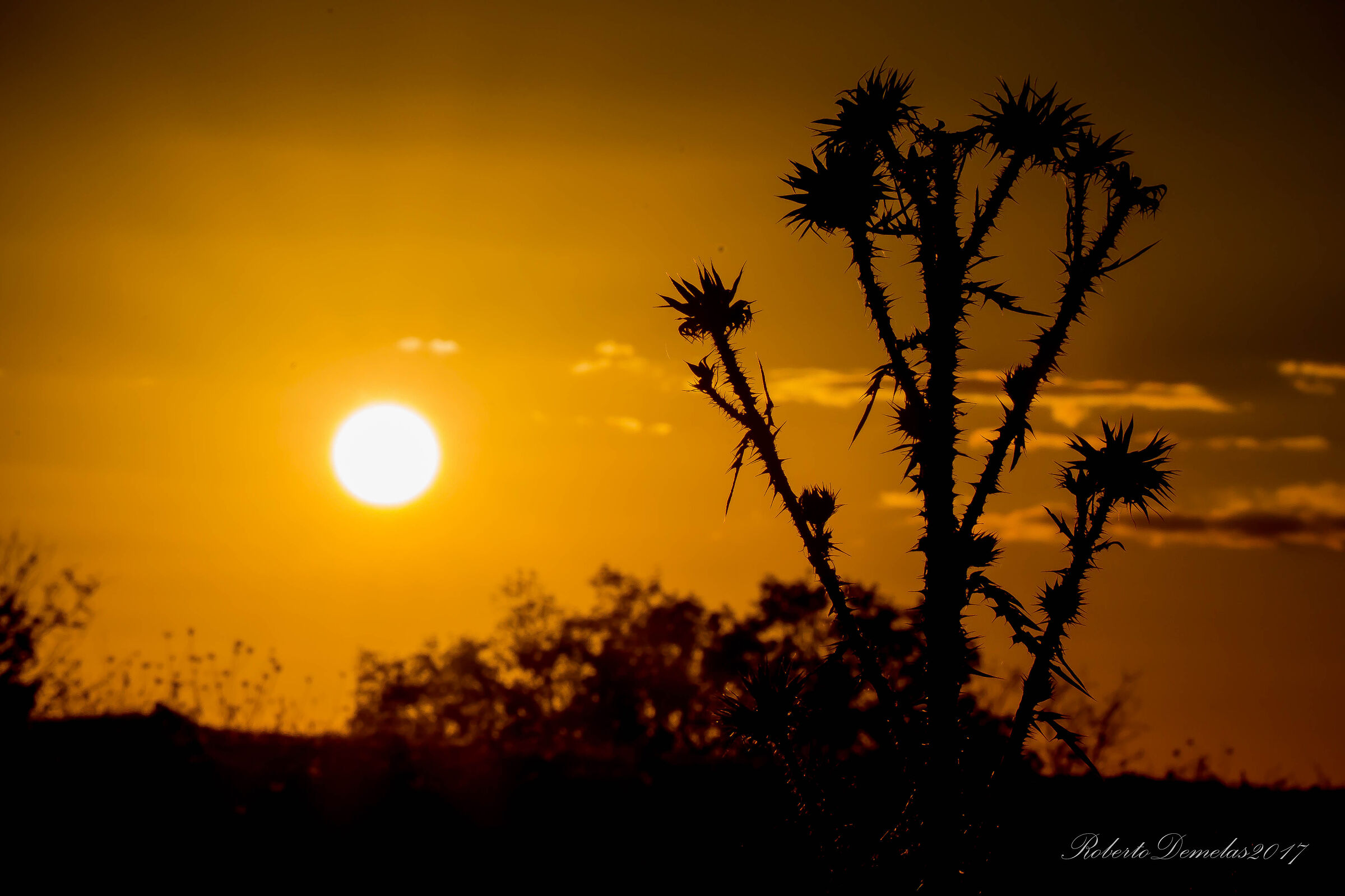 Atzaresi sunsets...