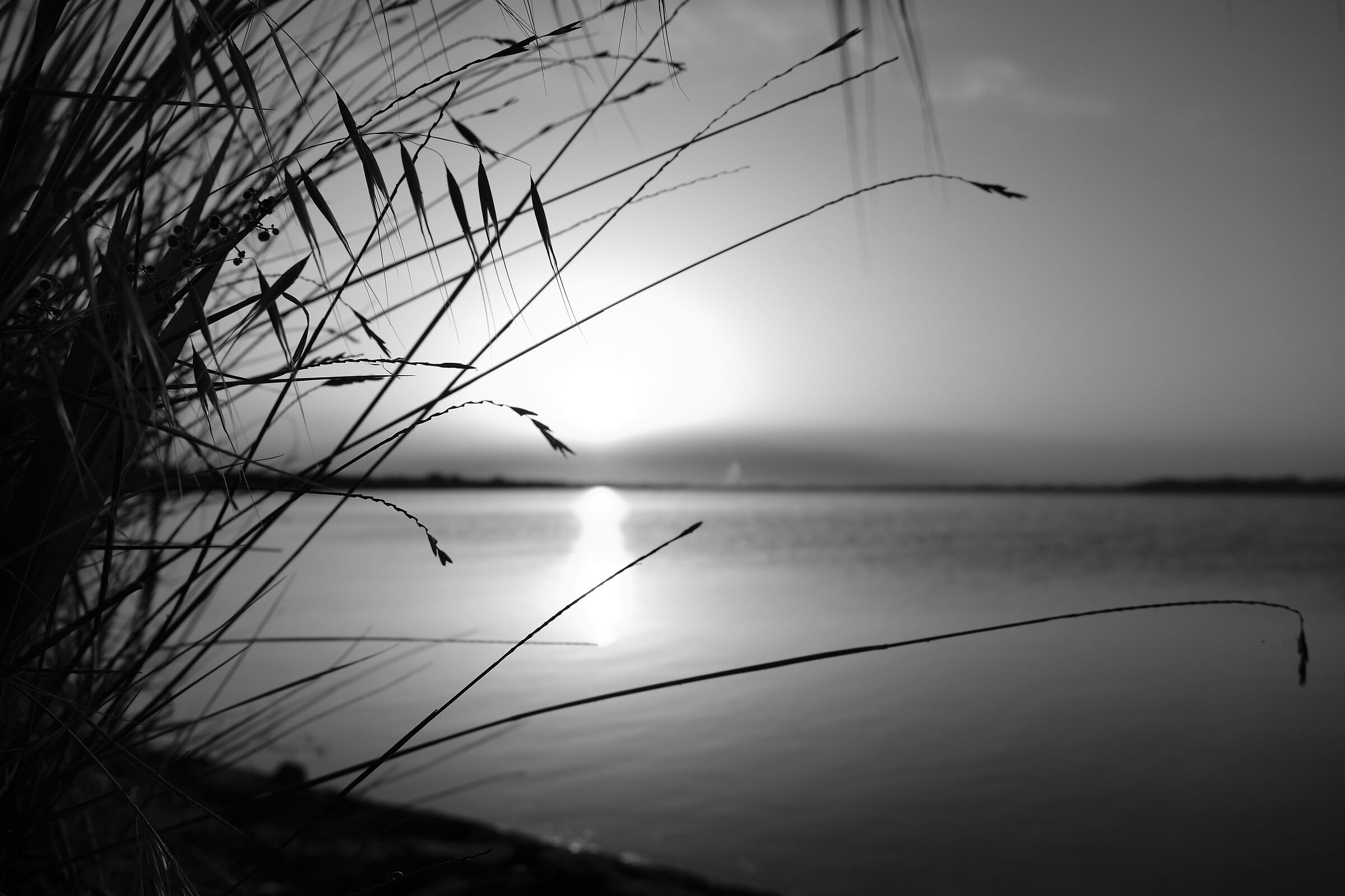 Sunset...