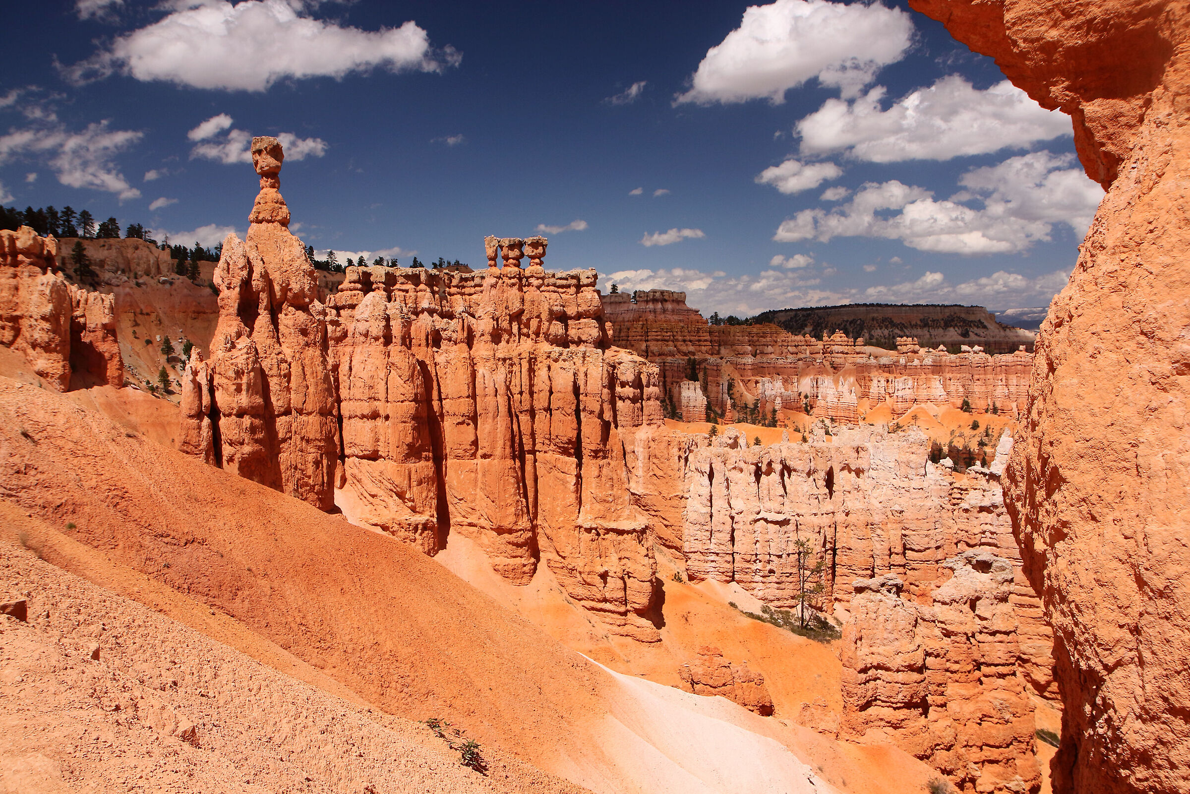 among the pinnacles of the Bryce...