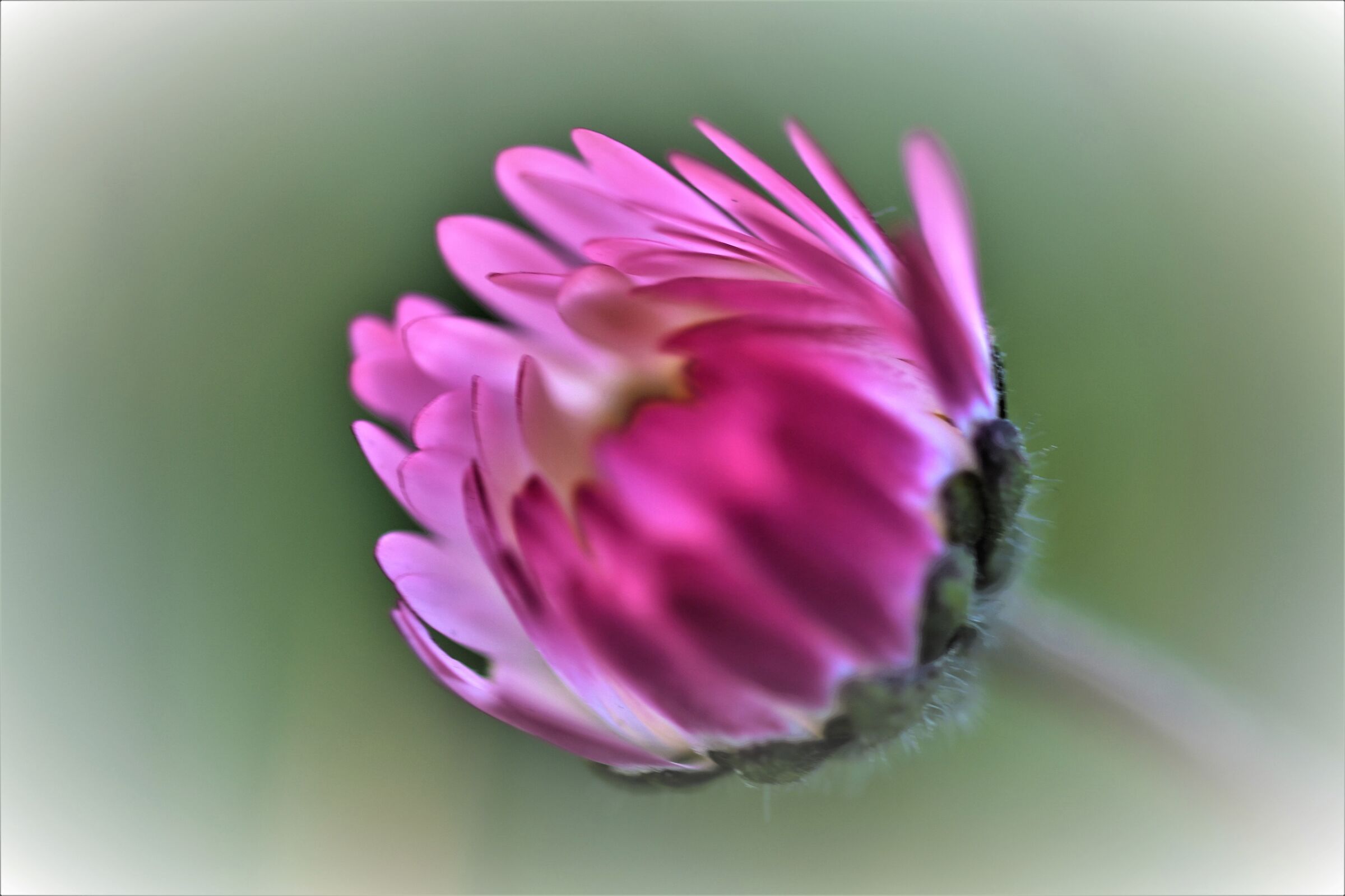 Untitled Photo...