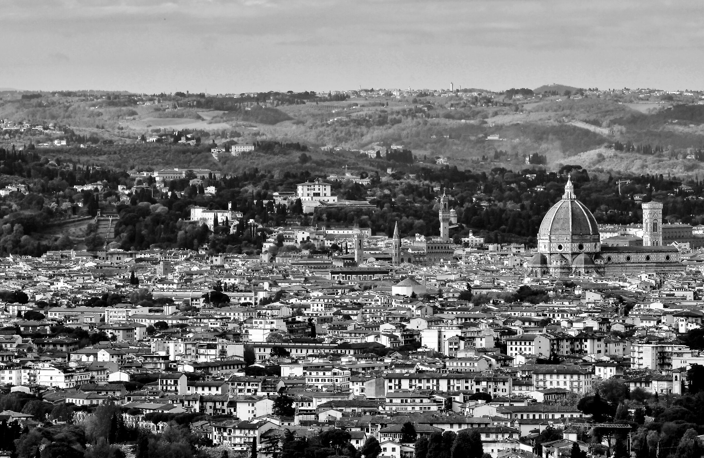 Firenze dall'alto b/n...