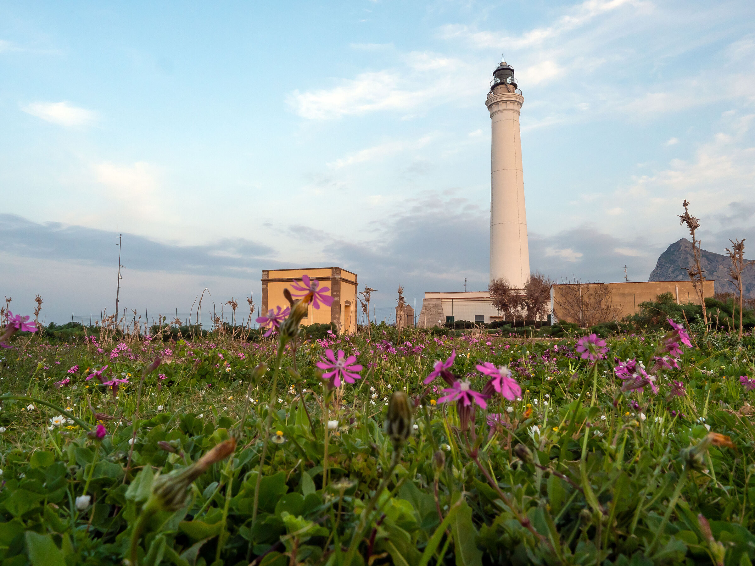 Between lighthouses and flowers...