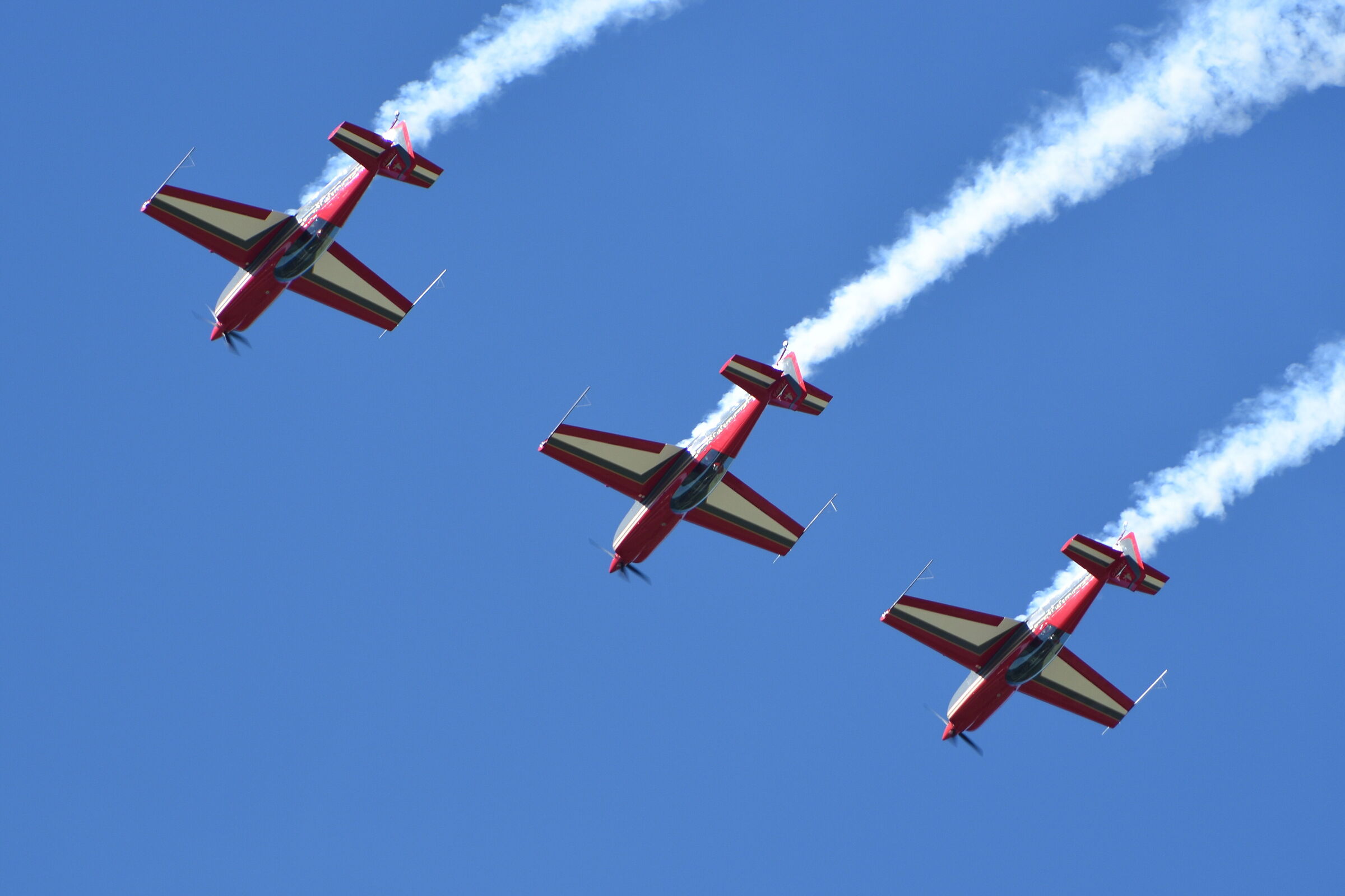 Royal Jordanian Falcons...
