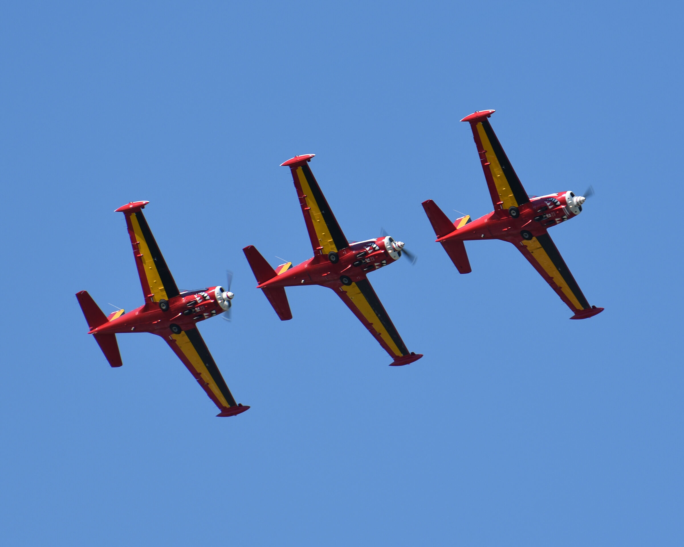 Belgian Aerobatic Patrol - RED DEVILS...
